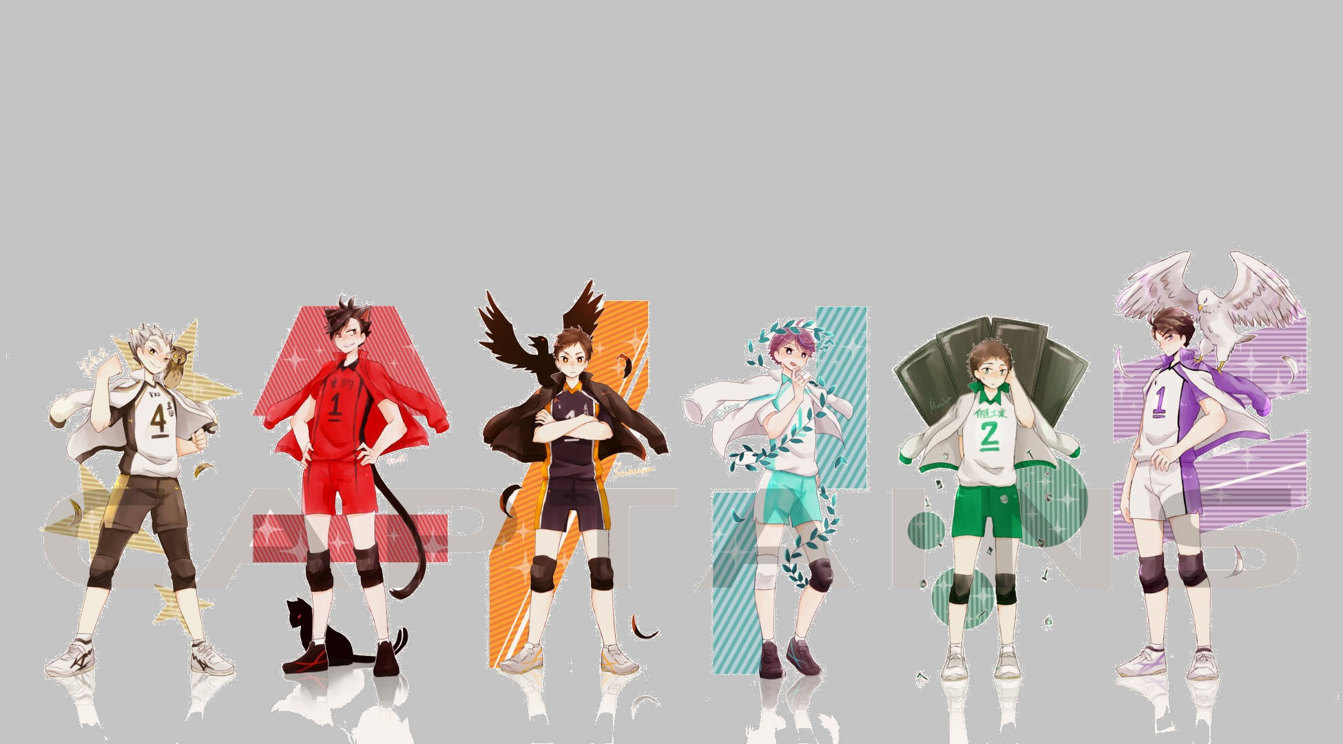 Haikyuu, Captains, anime volleyball players, Full HD Desktop Wallpaper