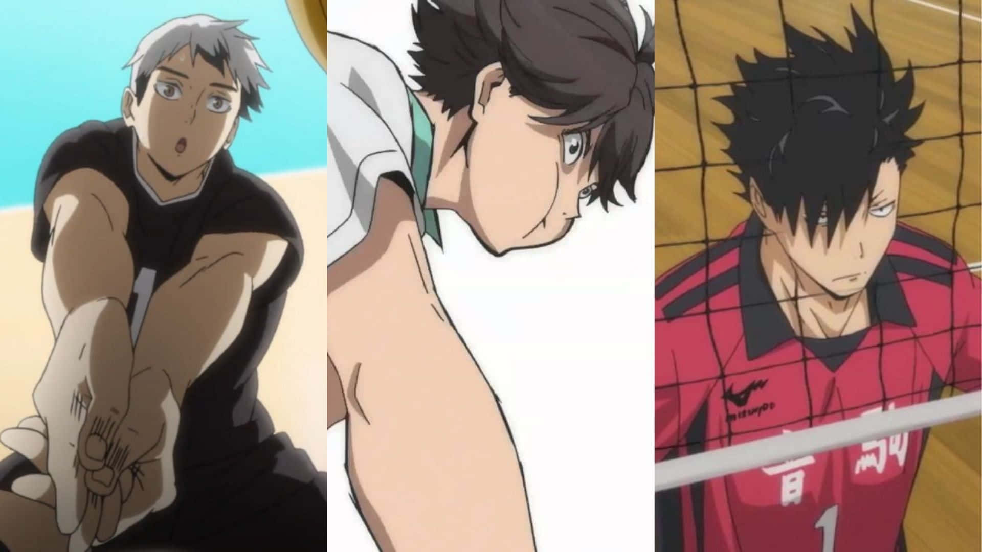 Haikyuu Captains, anime volleyball players, sandy and wooden courts, Full HD Desktop Wallpaper
