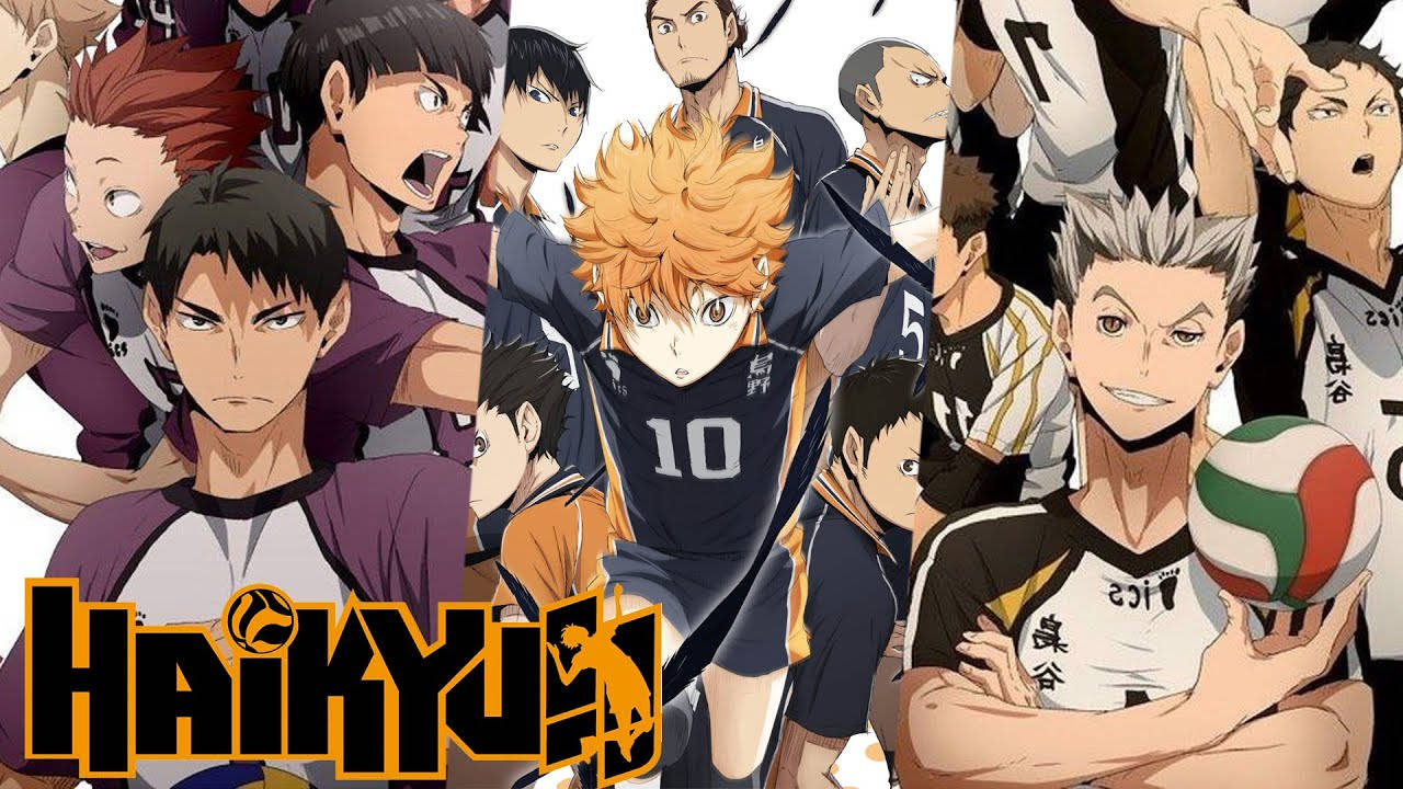 Haikyuu, anime volleyball players, action poses, HD Desktop Wallpaper