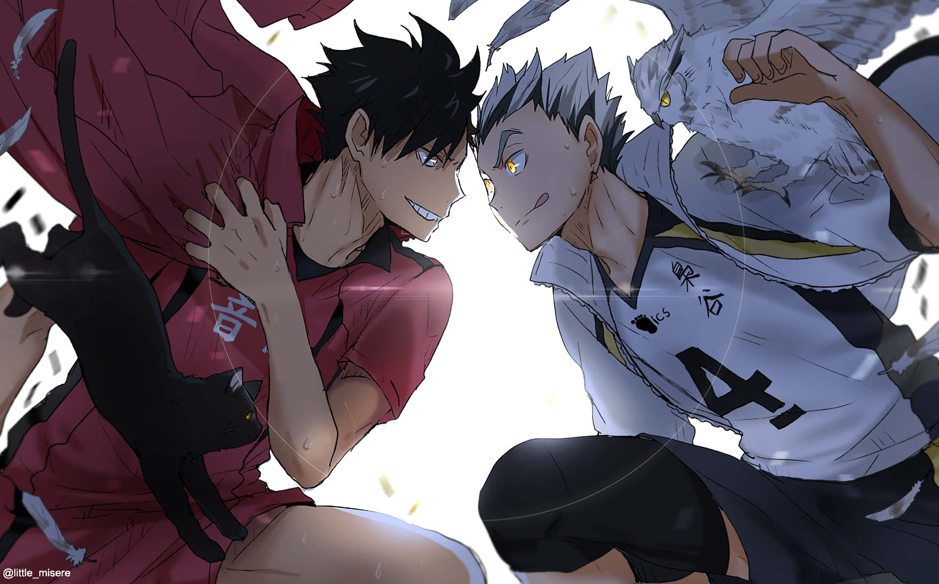 Haikyuu, Nekoma, black cat, Full HD Desktop Wallpaper