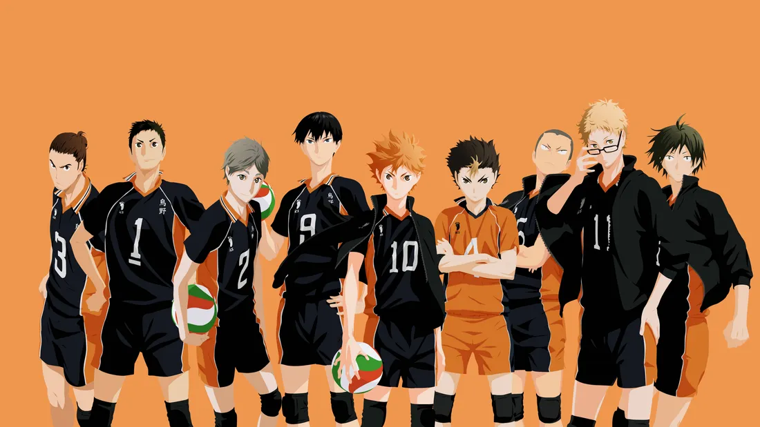 Haikyuu Team