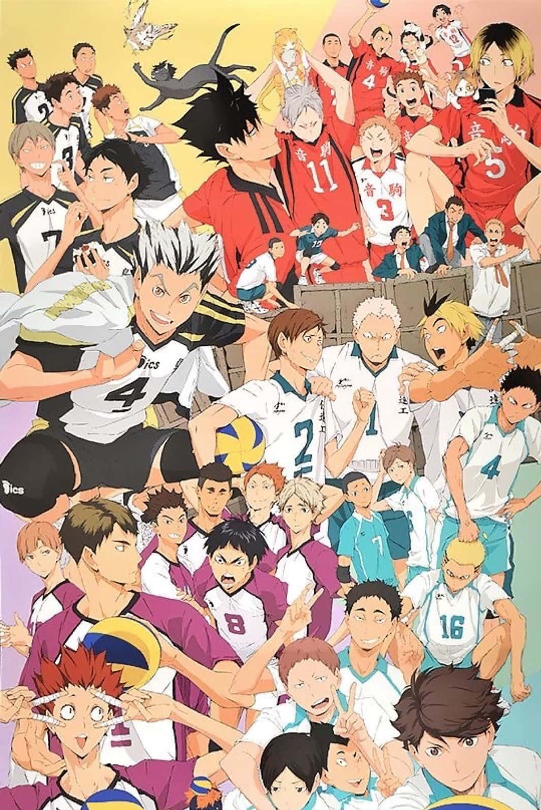 Haikyuu Team, Haikyuu iPhone, anime collage, HD Phone Wallpaper