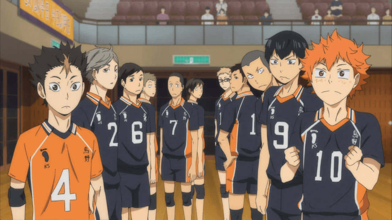 Haikyuu Team, navy and orange uniforms, gymnasium, HD Desktop Wallpaper