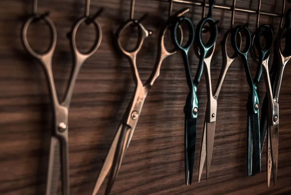 professional hairdressing scissors, metallic handles, teal handles, SD Desktop Wallpaper