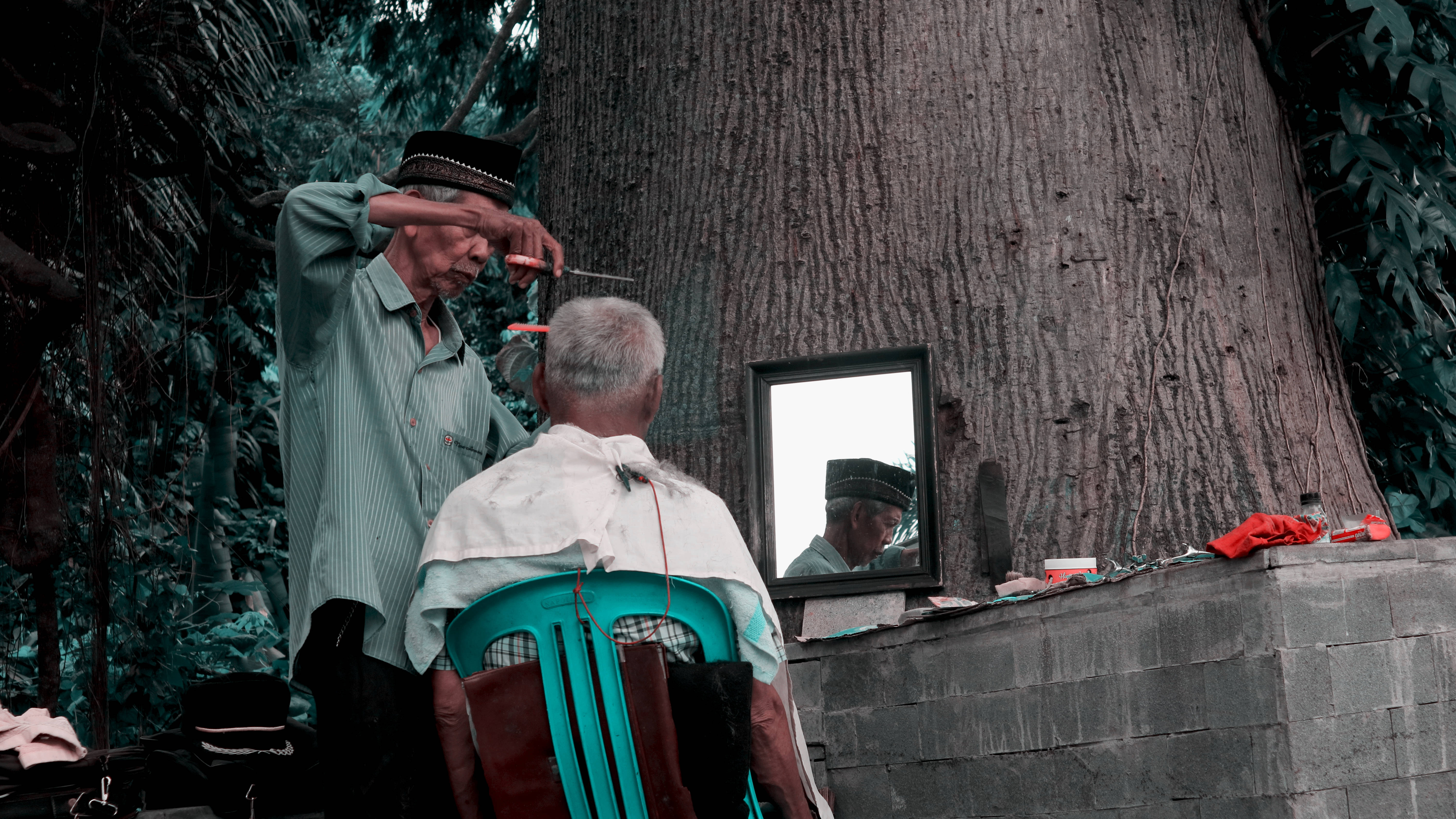 elderly barber, client, massive tree, 5K Desktop Wallpaper