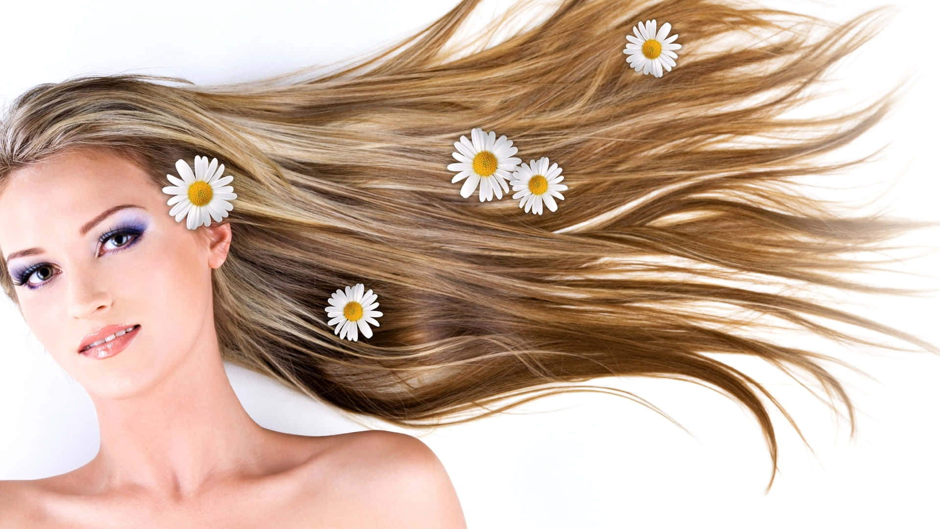 blonde hair, daisies, pure white background, Full HD Desktop Wallpaper