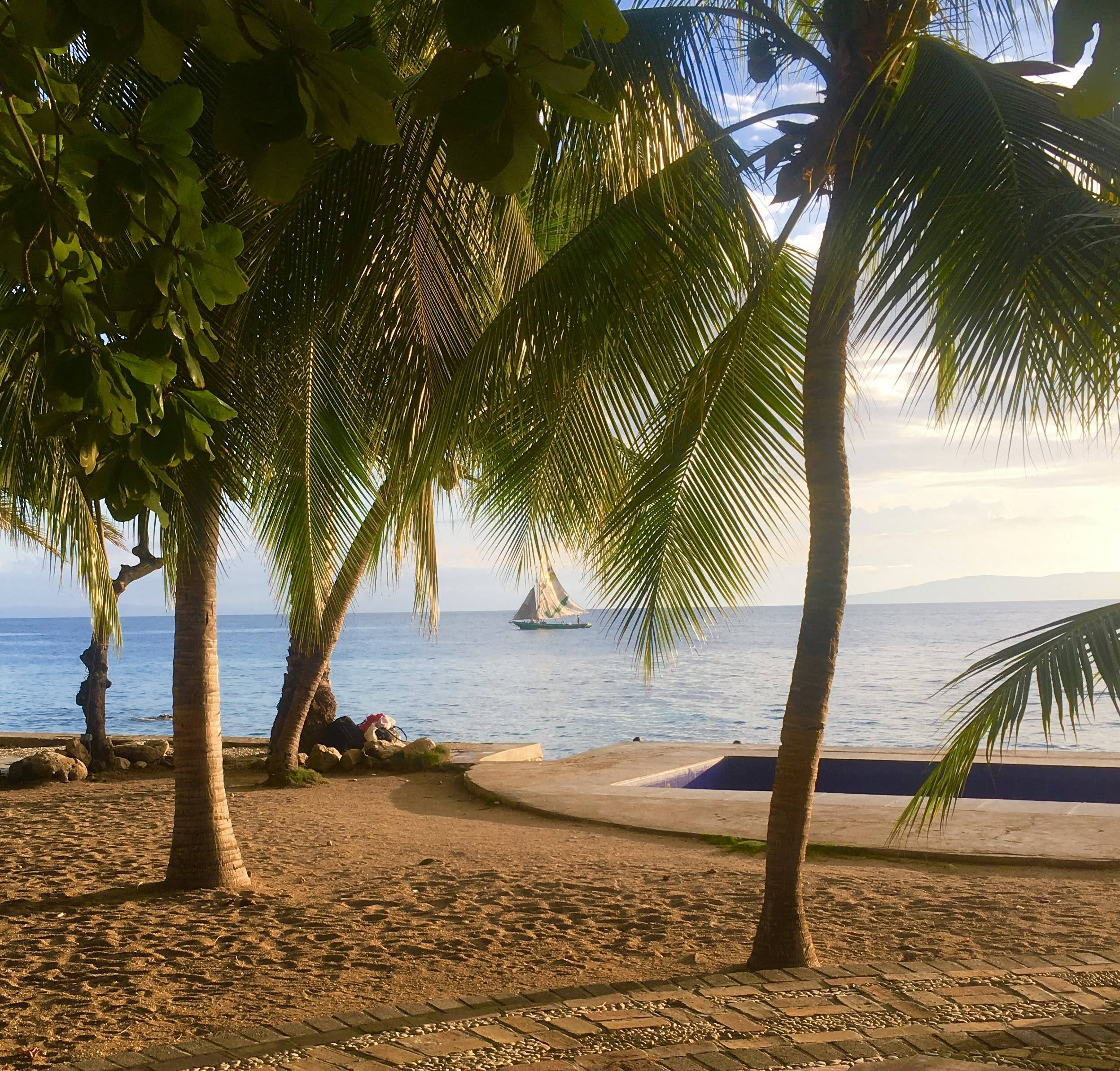 Haiti, fine sand beach, palm trees, Full HD Desktop Wallpaper