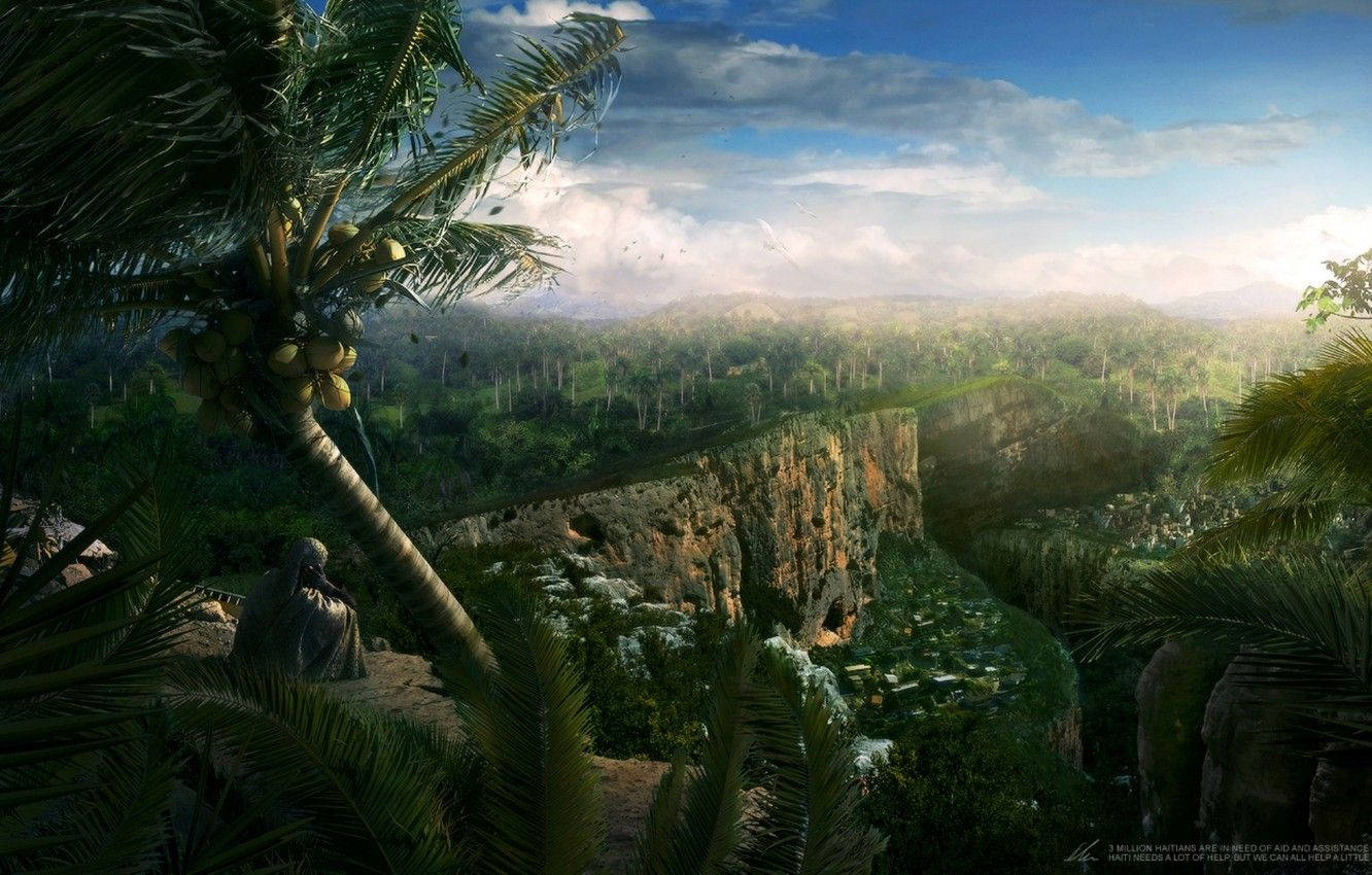 Haiti, lush jungle, palm tree, HD Desktop Wallpaper