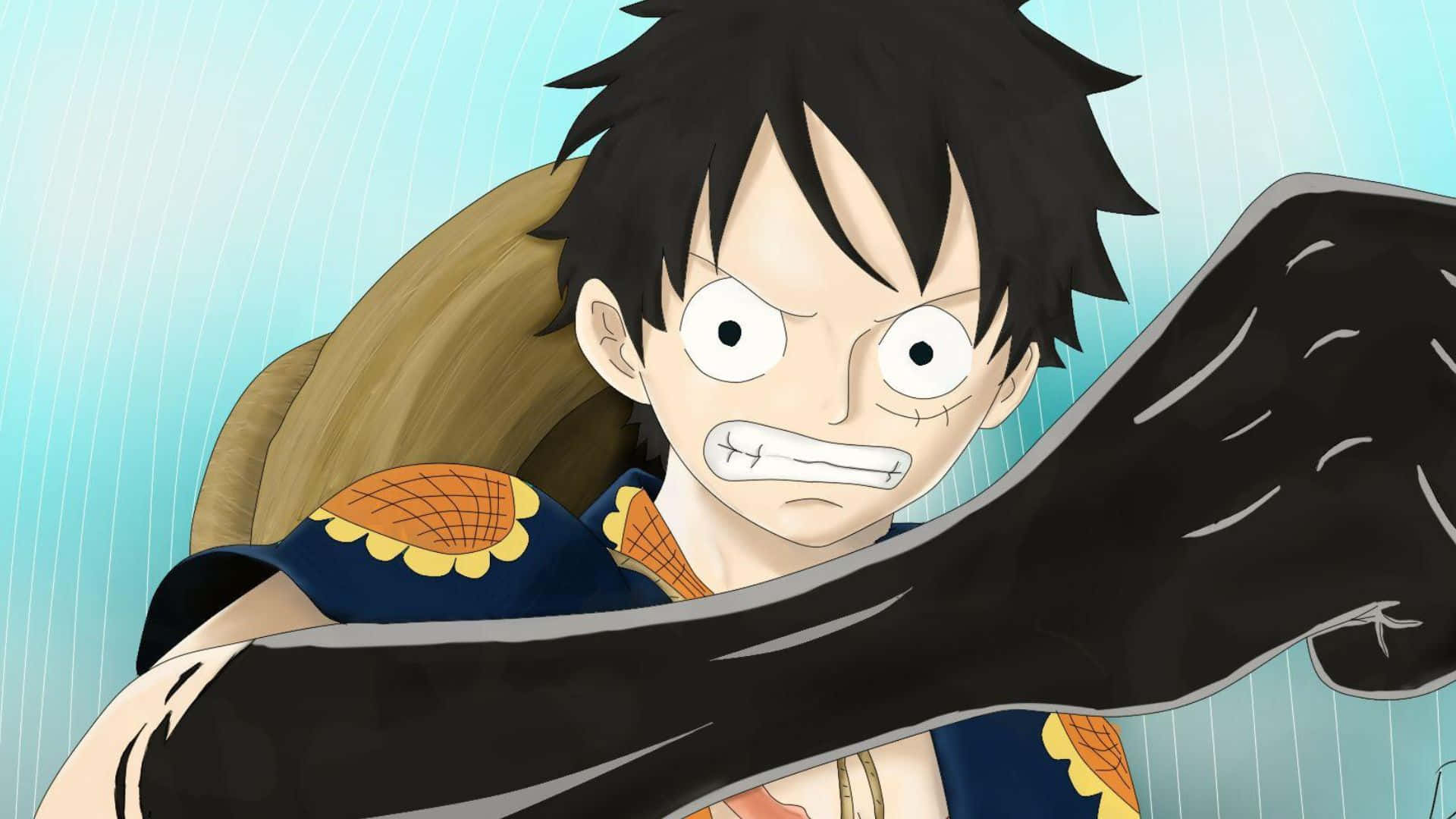 Haki, spiky black hair, fierce grin, Full HD Desktop Wallpaper