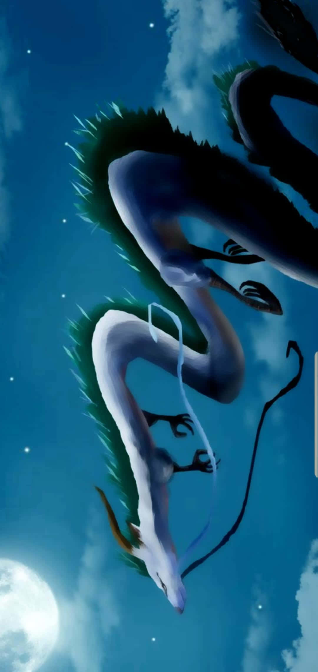Haku, Spirited Away, white dragon, Full HD Phone Wallpaper