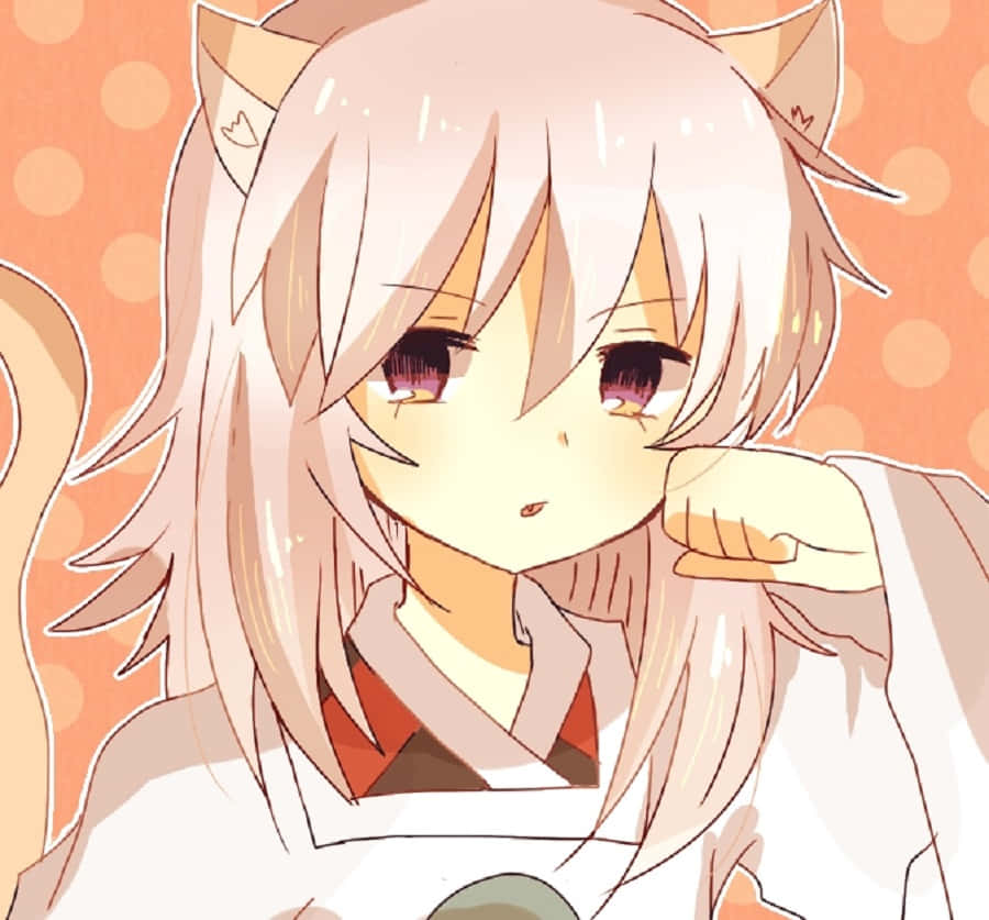 Hakudoshi 900 x 837, anime girl, cat ears, SD Desktop Wallpaper