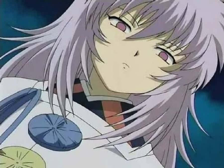 Hakudoshi, silver hair, pink eyes, SD Desktop Wallpaper