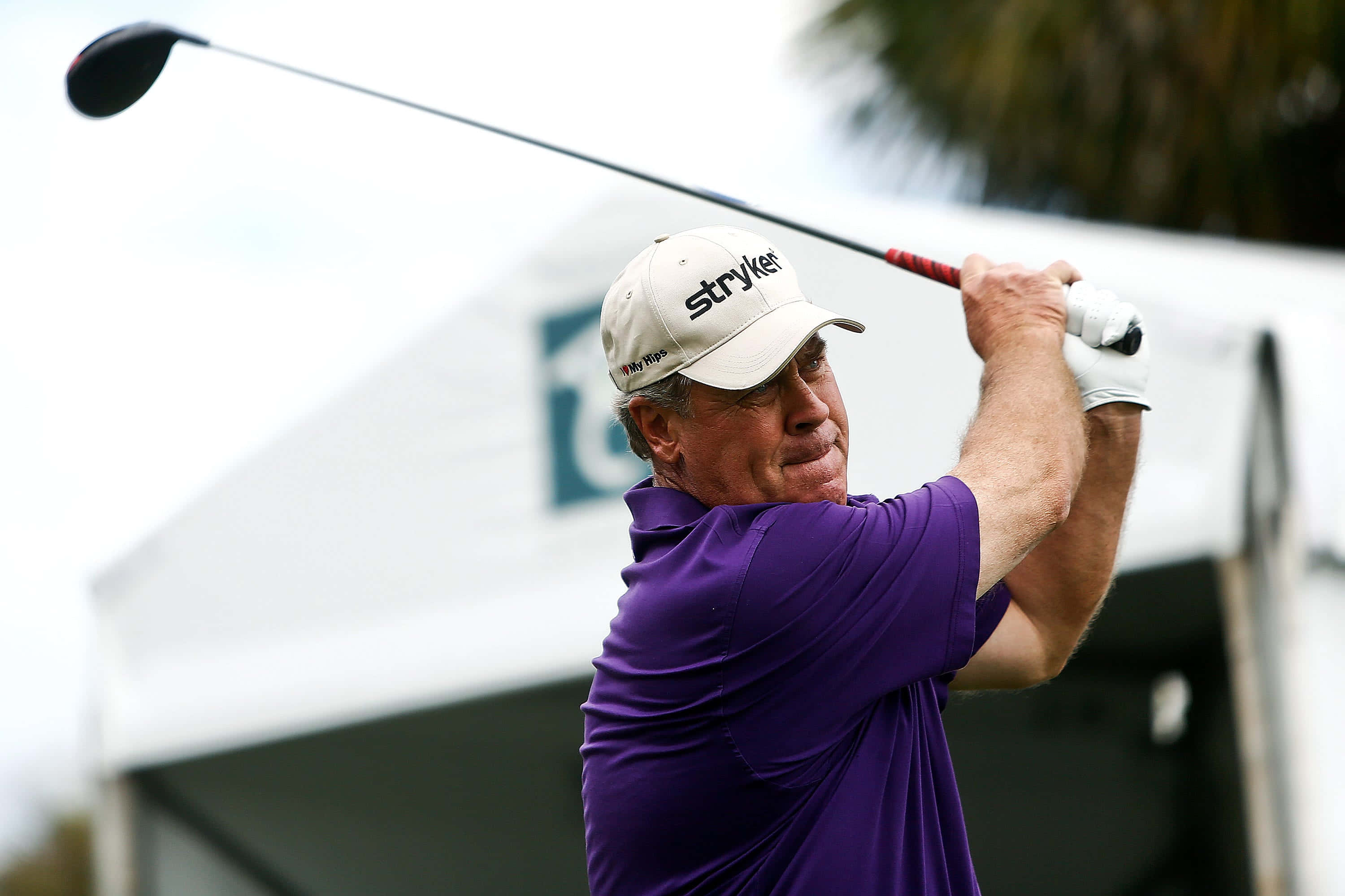 Hal Sutton, purple polo shirt, white cap, 2K Desktop Wallpaper