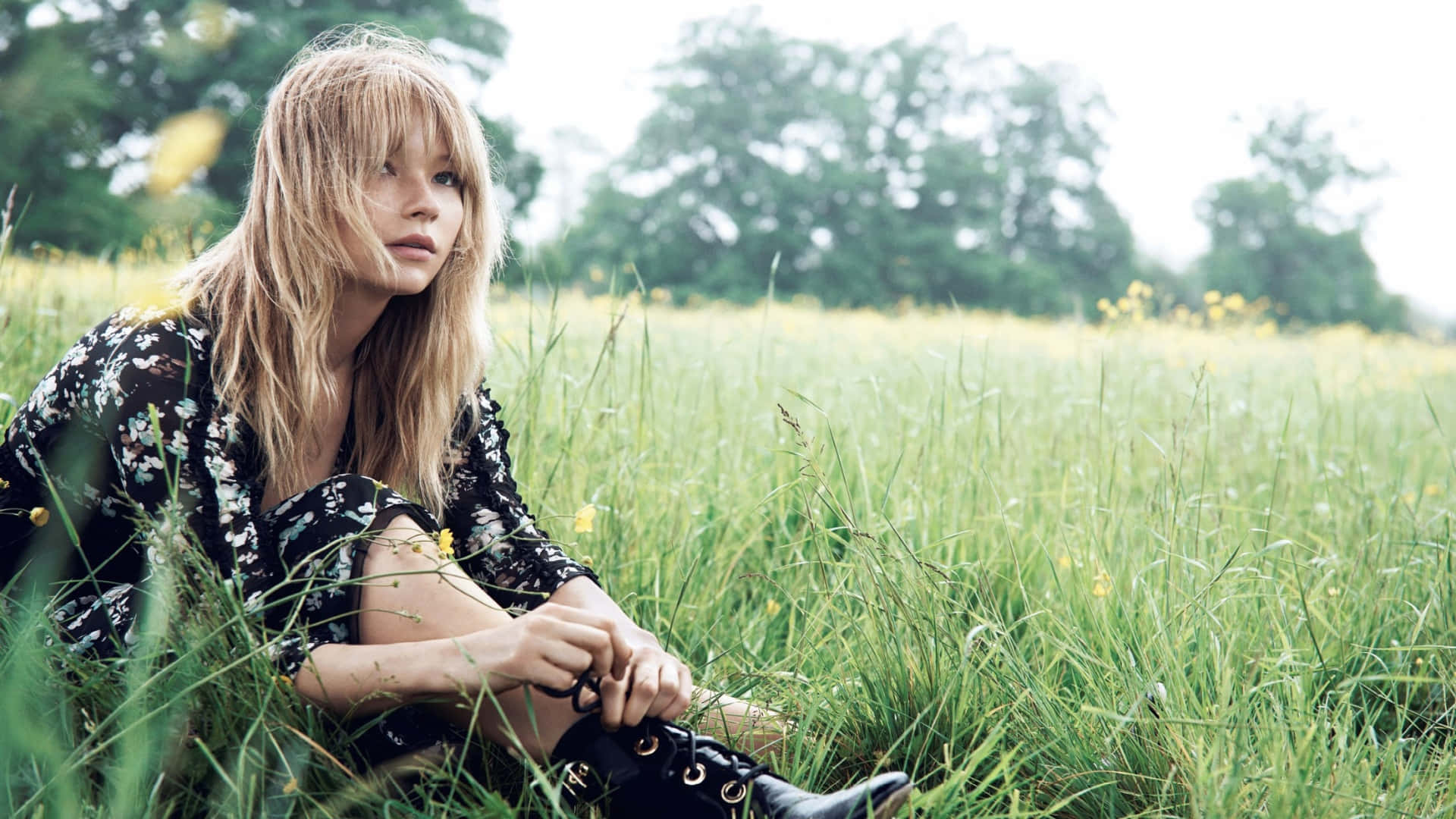 Haley Bennett, sunlit field, tall green grass, Full HD Desktop Wallpaper