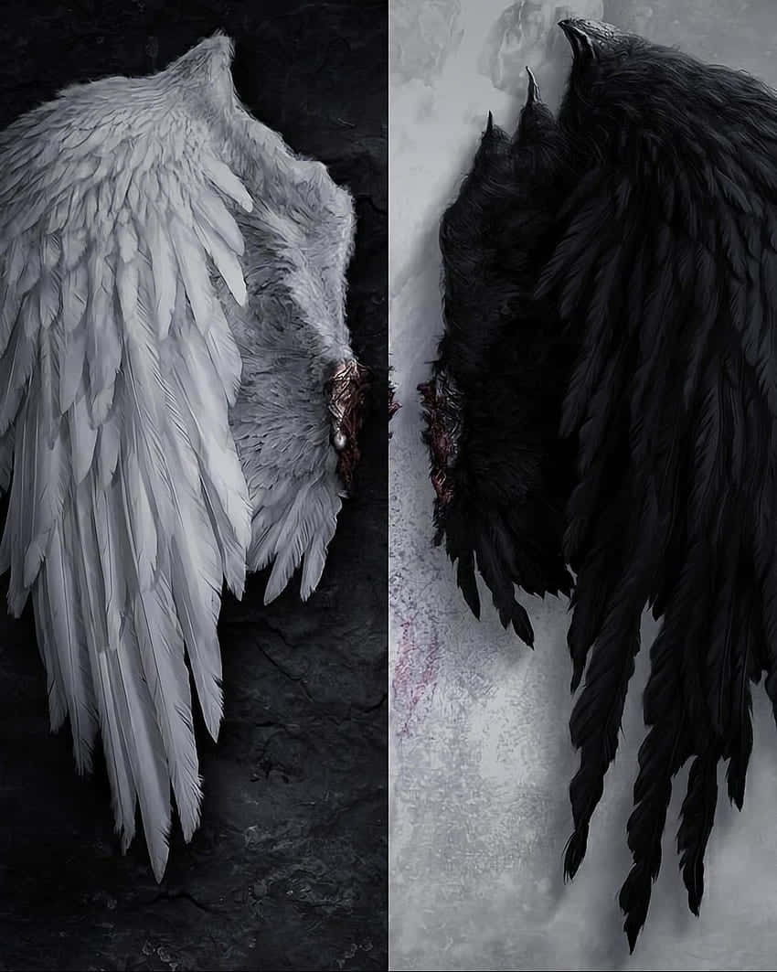 angel demon wings duality, white feathered wing, dark stone, SD Phone Wallpaper