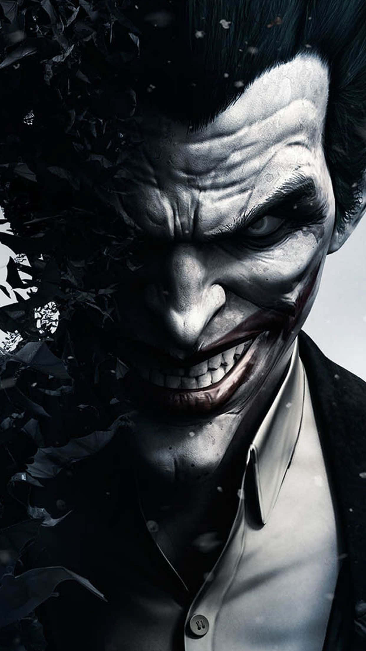 Half Batman Half Joker, Joker, dark hair, Full HD Phone Wallpaper