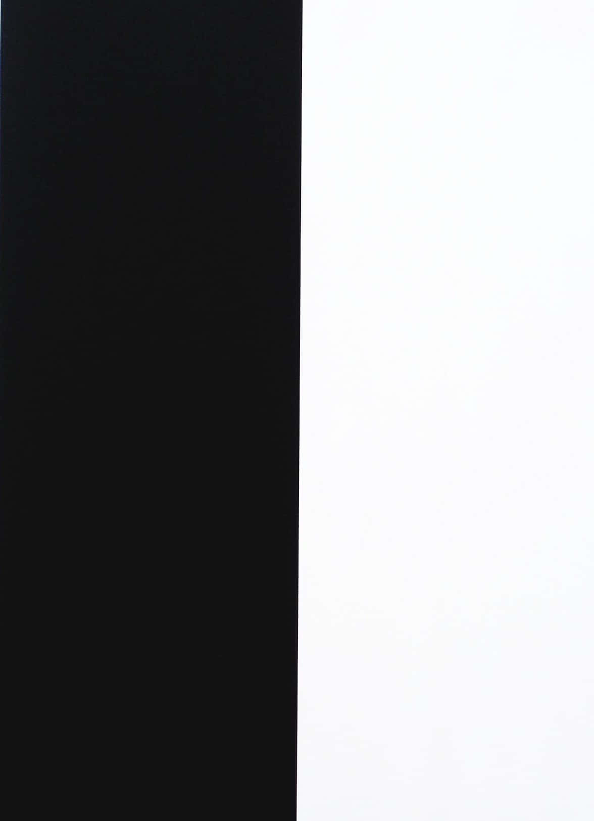 half black half white, black, white, HD Phone Wallpaper