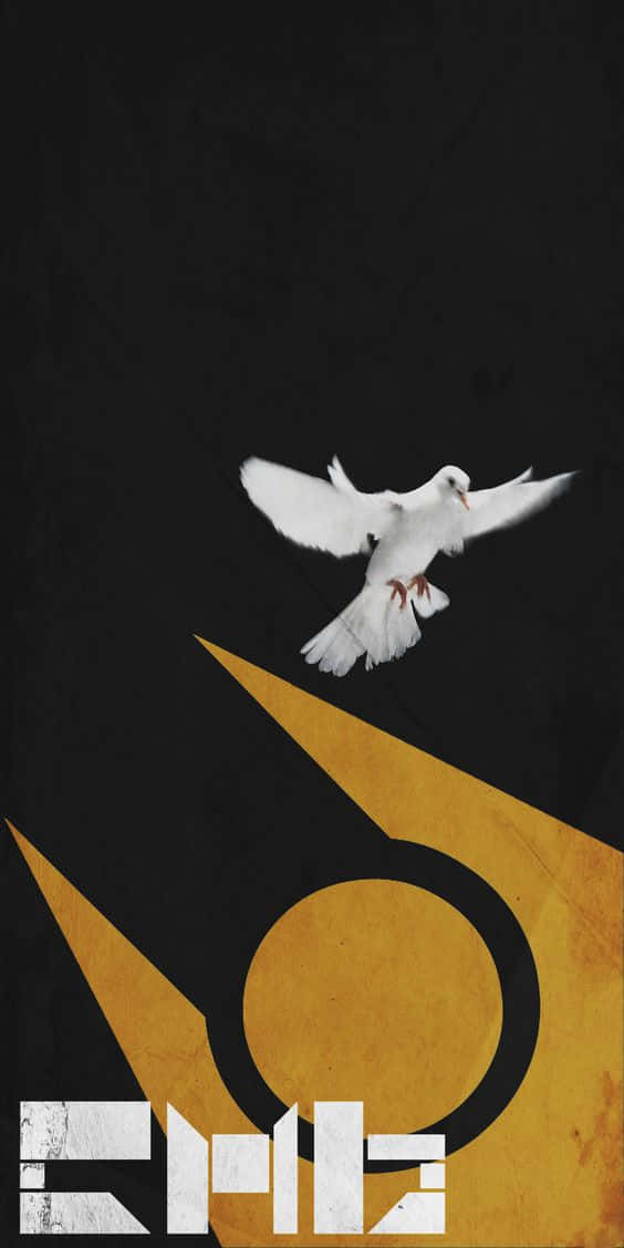 Half Life 2, white dove, stark black background, SD Phone Wallpaper