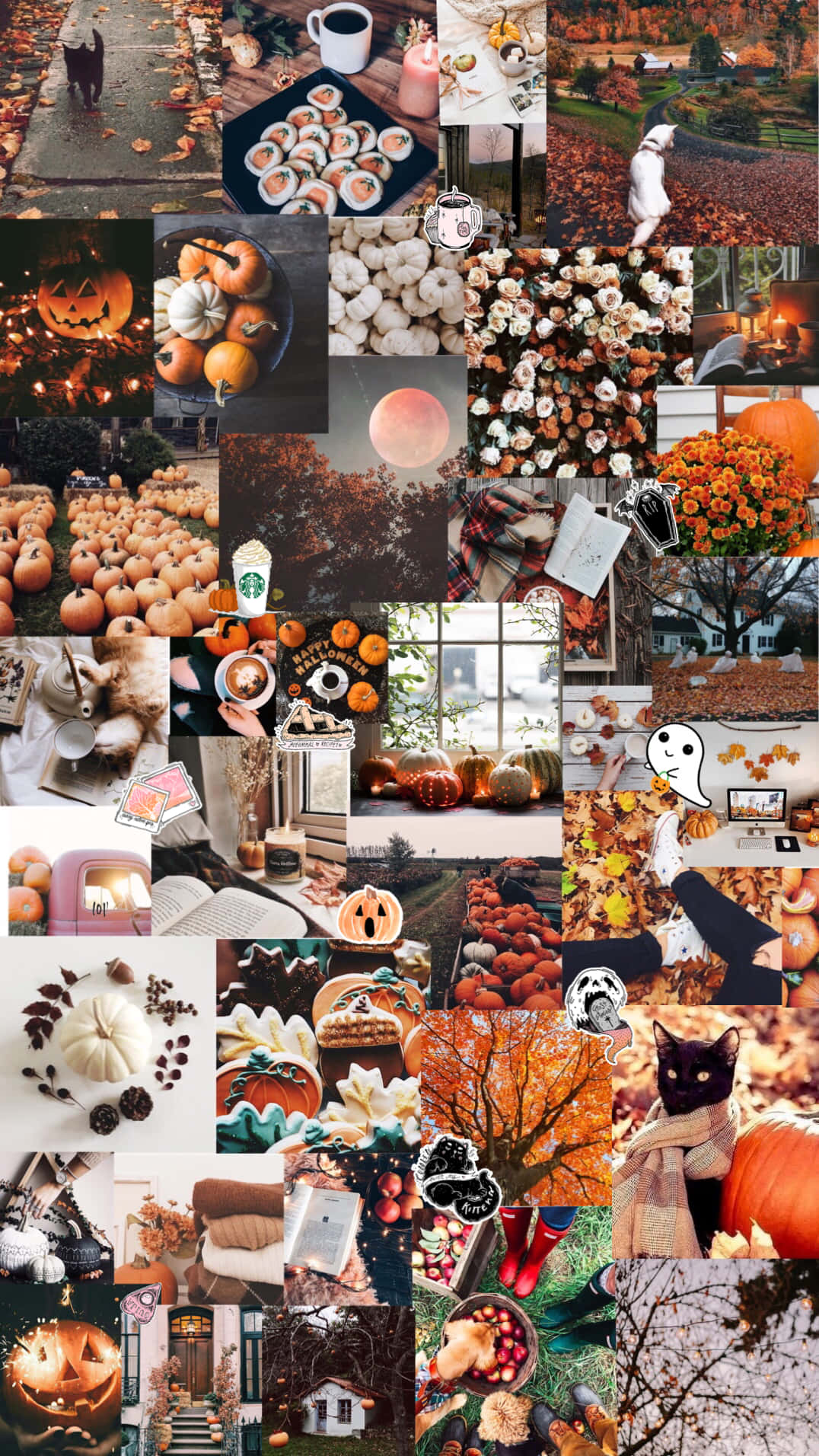 Halloween Aesthetic Girl, orange, pumpkins, HD Phone Wallpaper