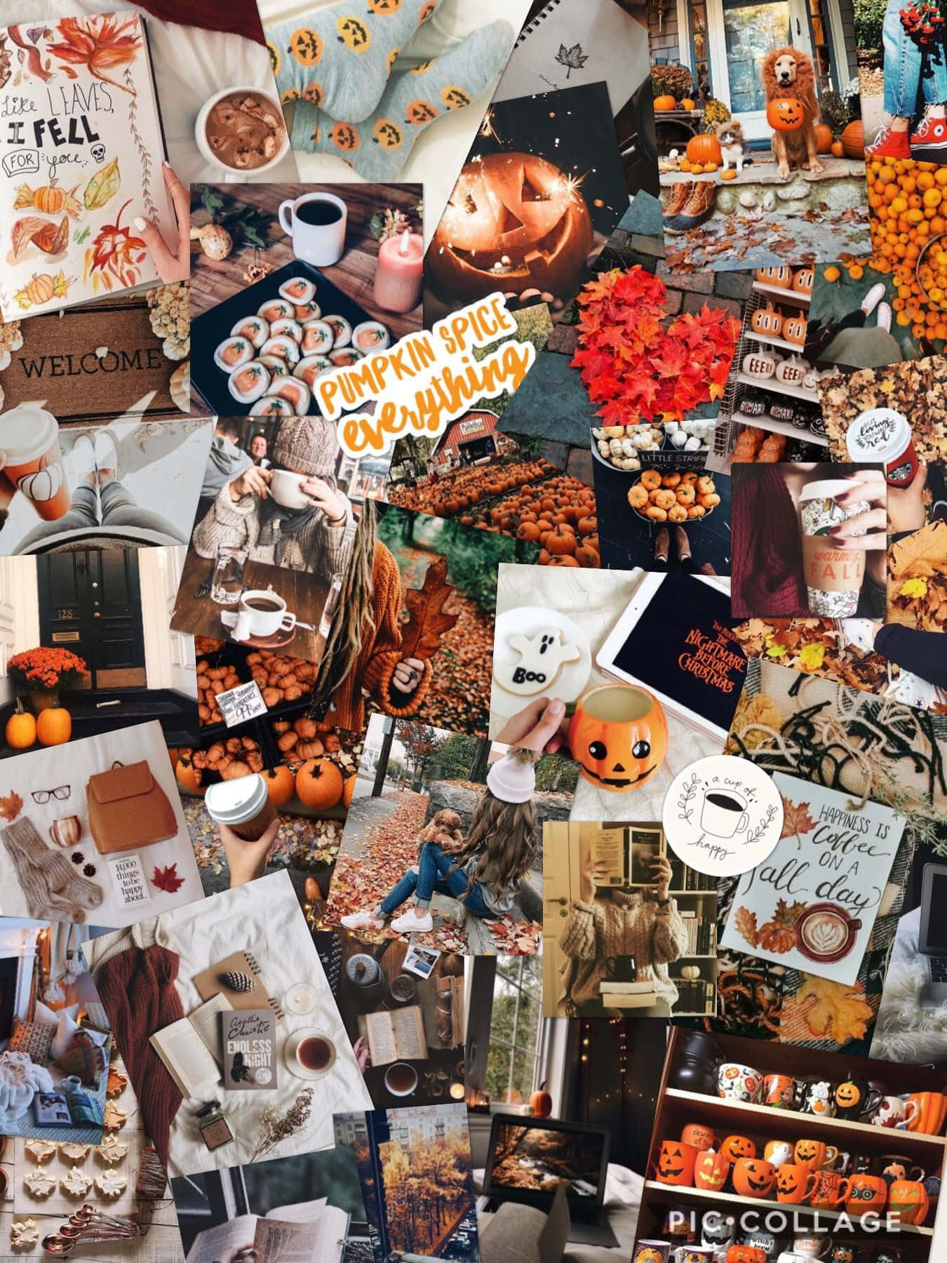 Halloween Aesthetic Girl, pumpkins, cozy drinks, HD Phone Wallpaper