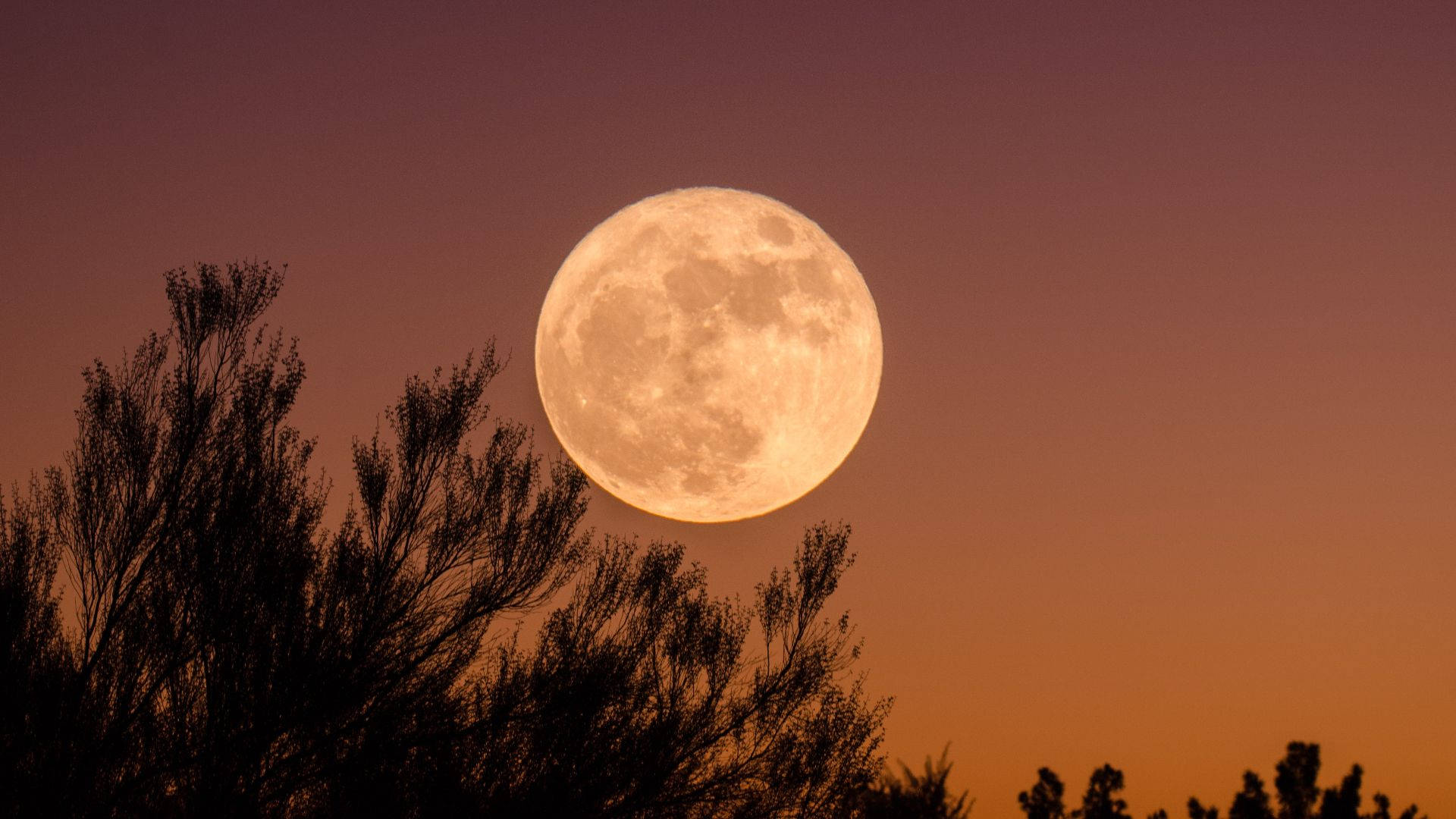 Halloween Aesthetic Pc, Moon, Orange Sky, Full HD Desktop Wallpaper