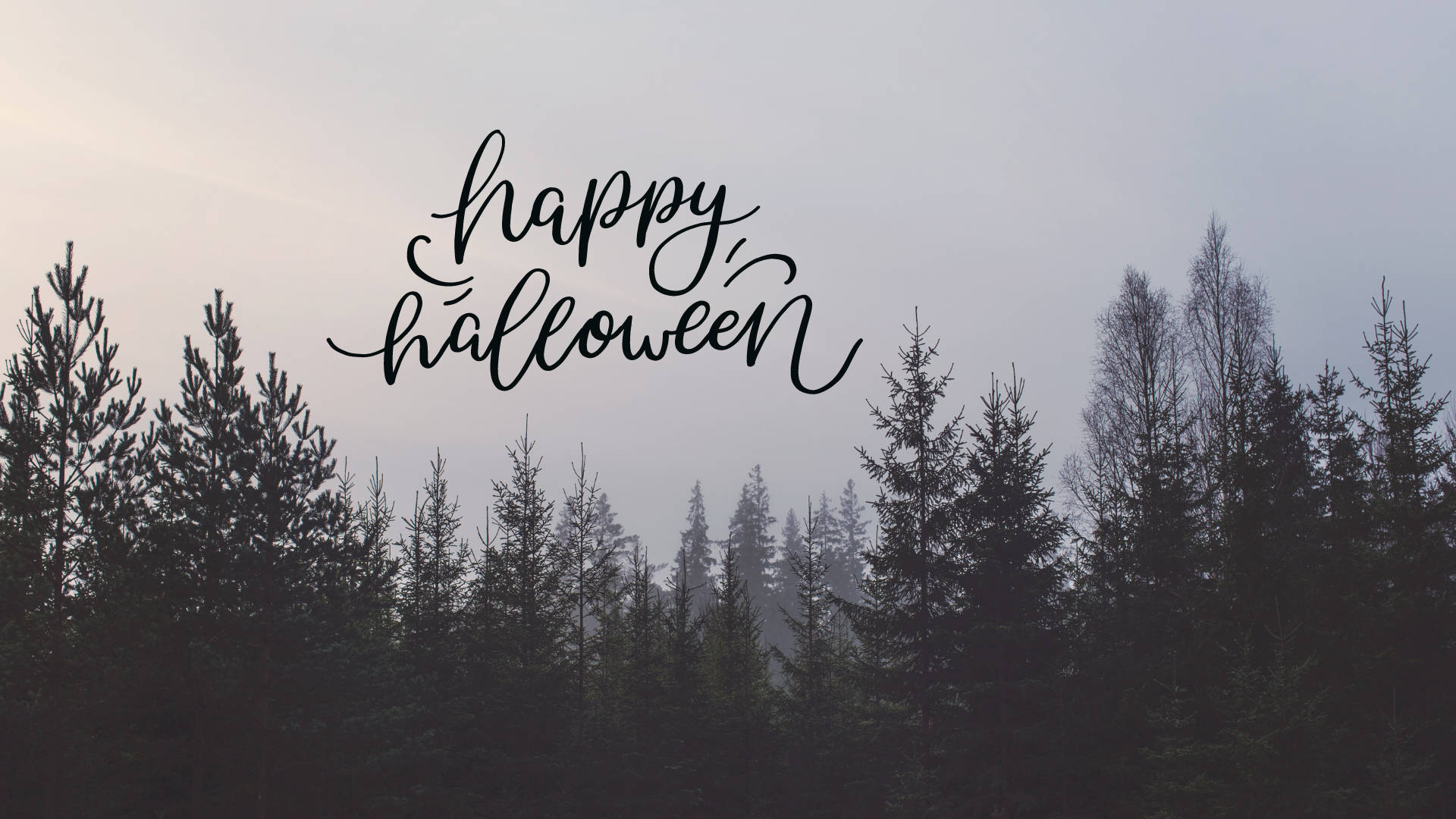 Halloween Aesthetic Pc, Pine Forest, Misty forest silhouette, Full HD Desktop Wallpaper