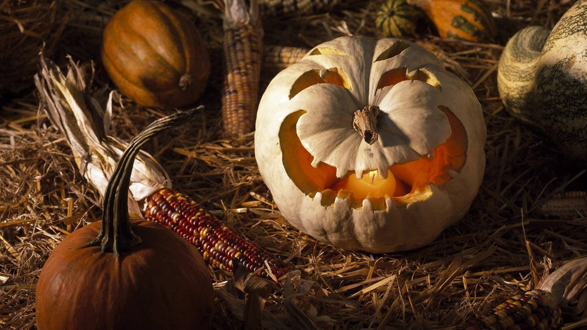 Halloween Aesthetic Pc, white pumpkin, glowing orange interior, Full HD Desktop Wallpaper