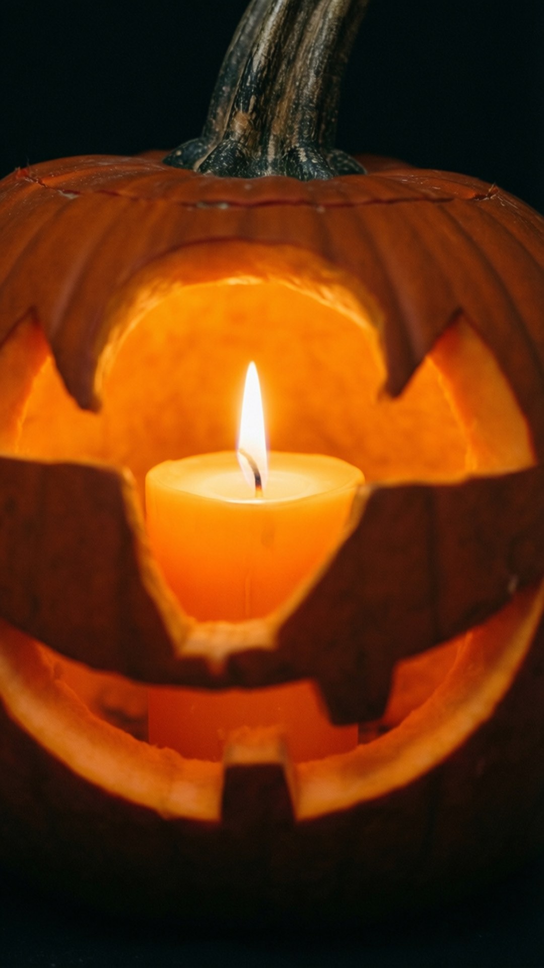 candlelit pumpkin, carved pumpkin, candle inside, Full HD Phone Wallpaper