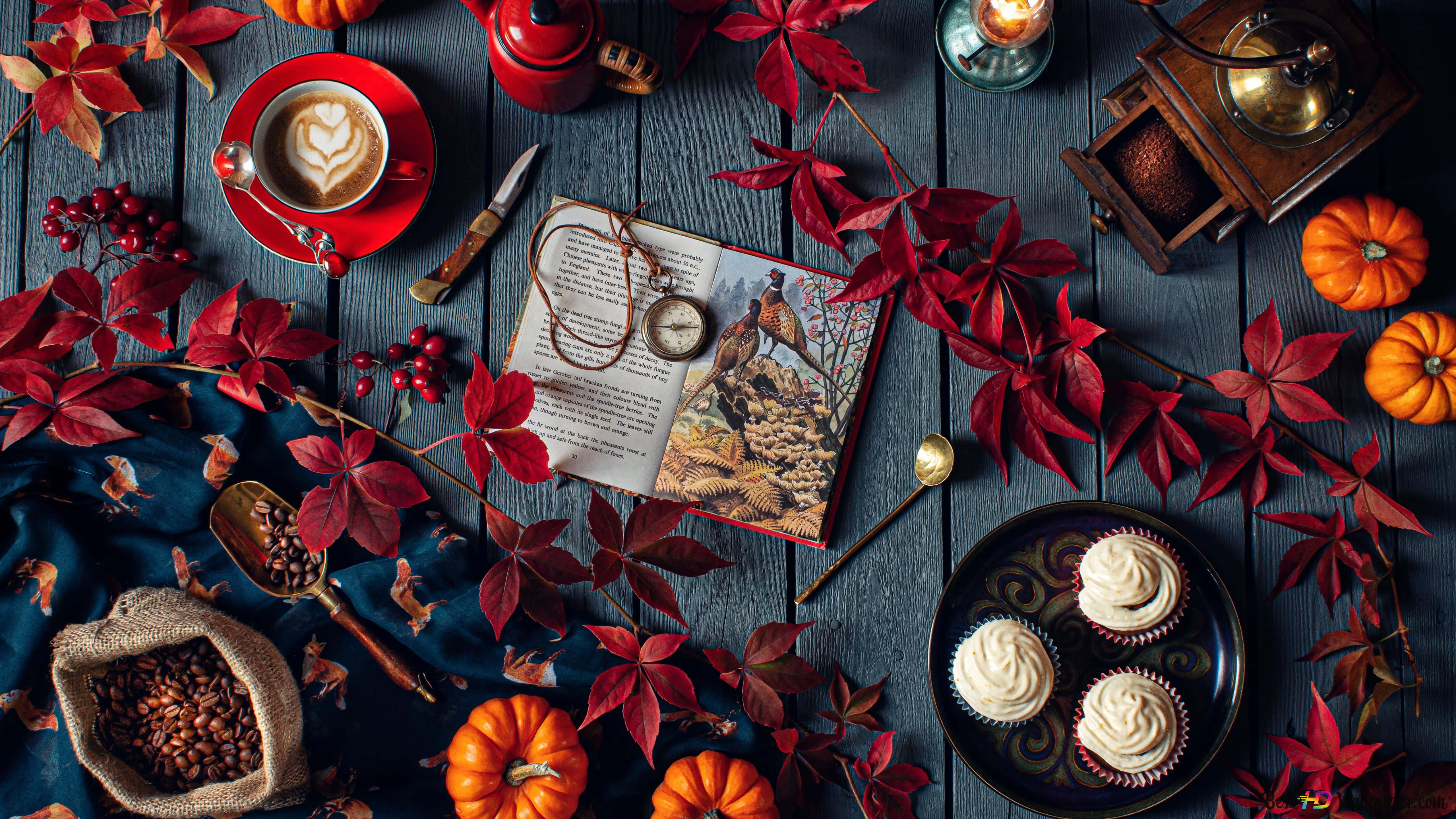 Halloween Books, red leaves, pumpkins, 5K Desktop Wallpaper