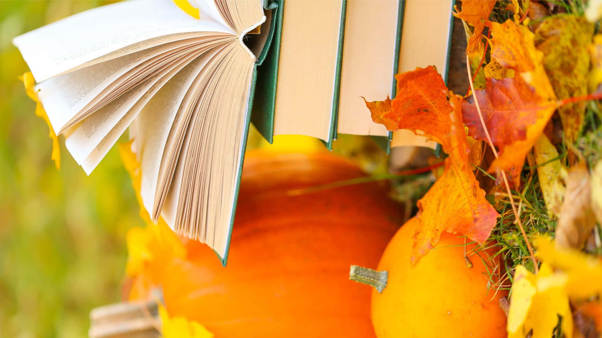Halloween Books, pumpkins, autumn leaves, Full HD Desktop Wallpaper