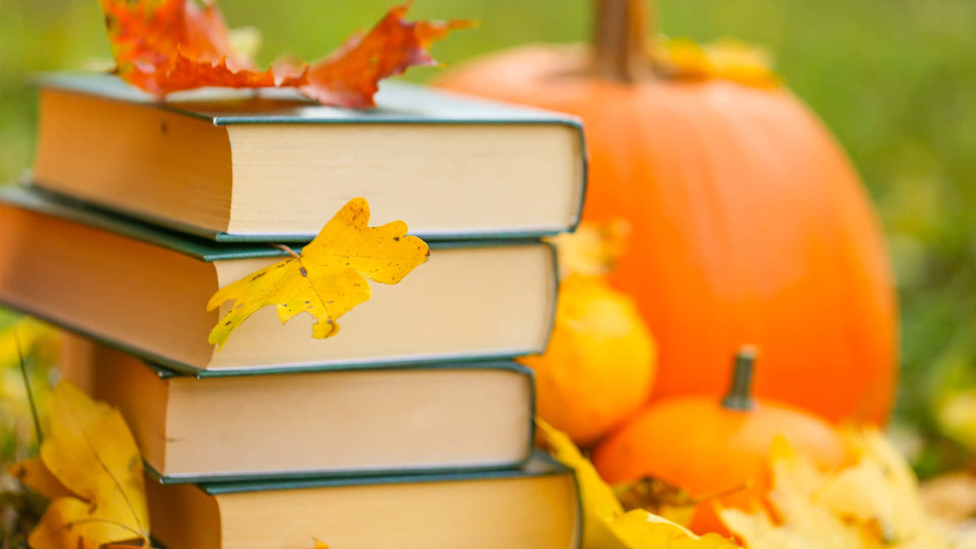 Halloween Books, autumn leaves, pumpkins, Full HD Desktop Wallpaper