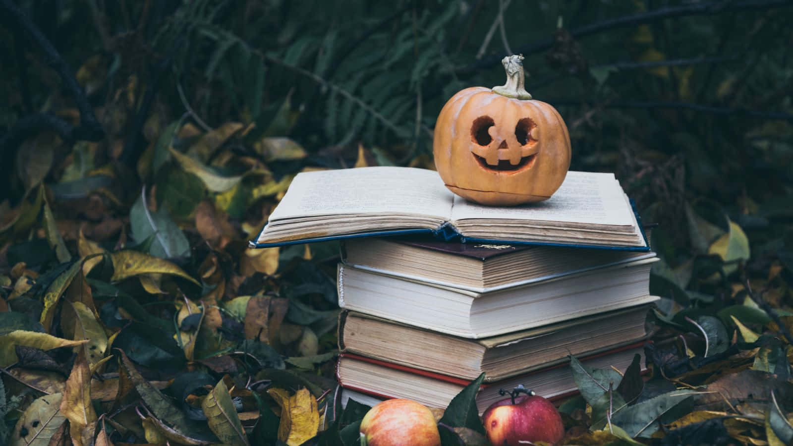 jack-o'-lantern, stack of books, autumn leaves, HD Desktop Wallpaper