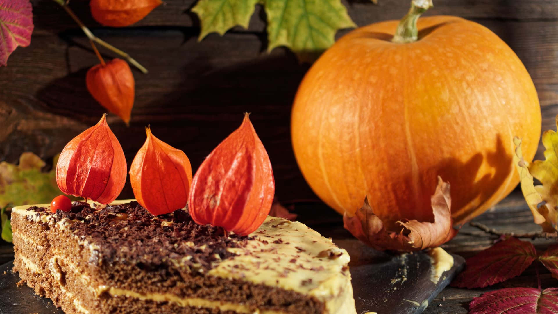 Halloween Cake, chocolate cake, vibrant orange physalis fruits, Full HD Desktop Wallpaper