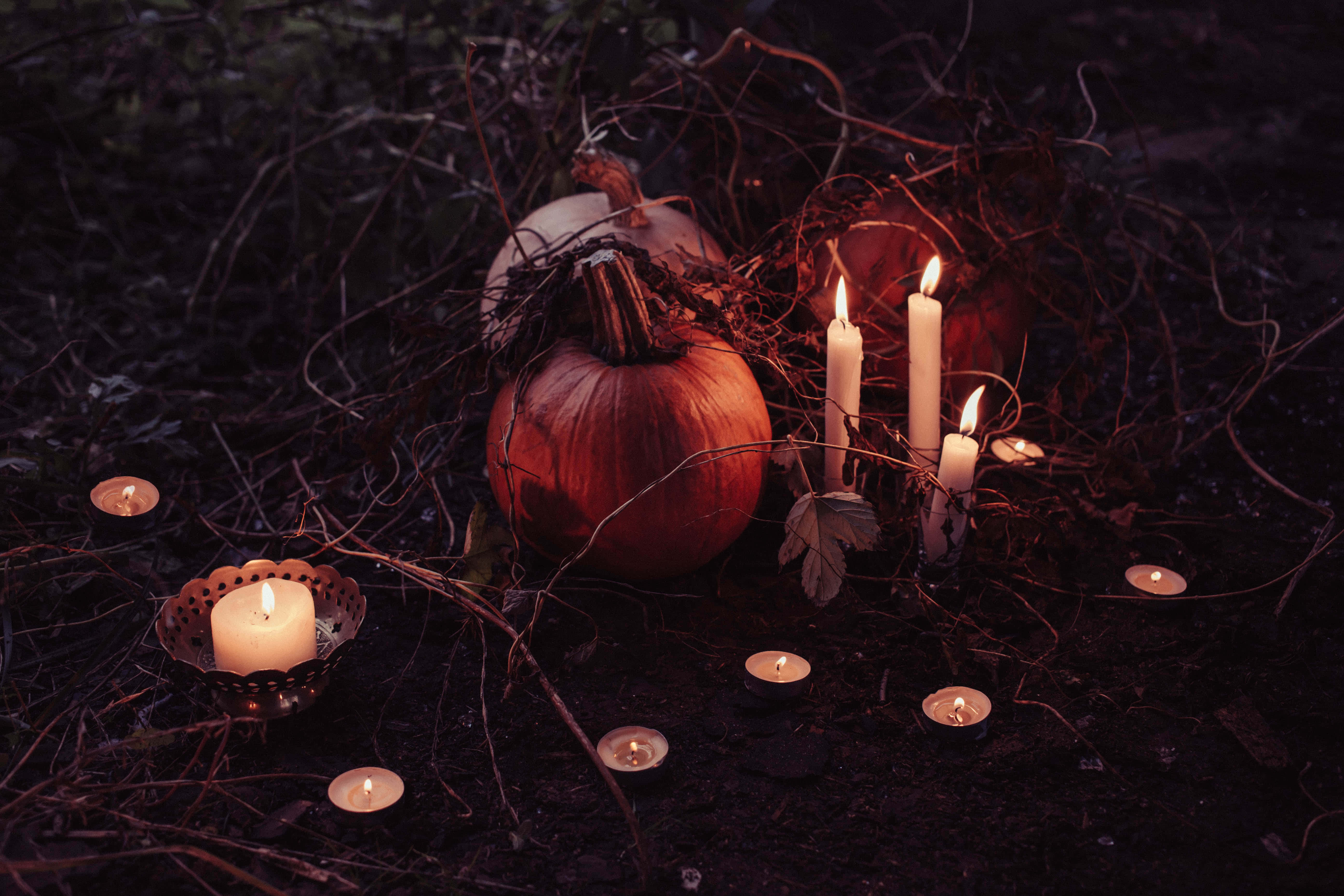 Halloween Candles, candles, pumpkins, 5K Desktop Wallpaper
