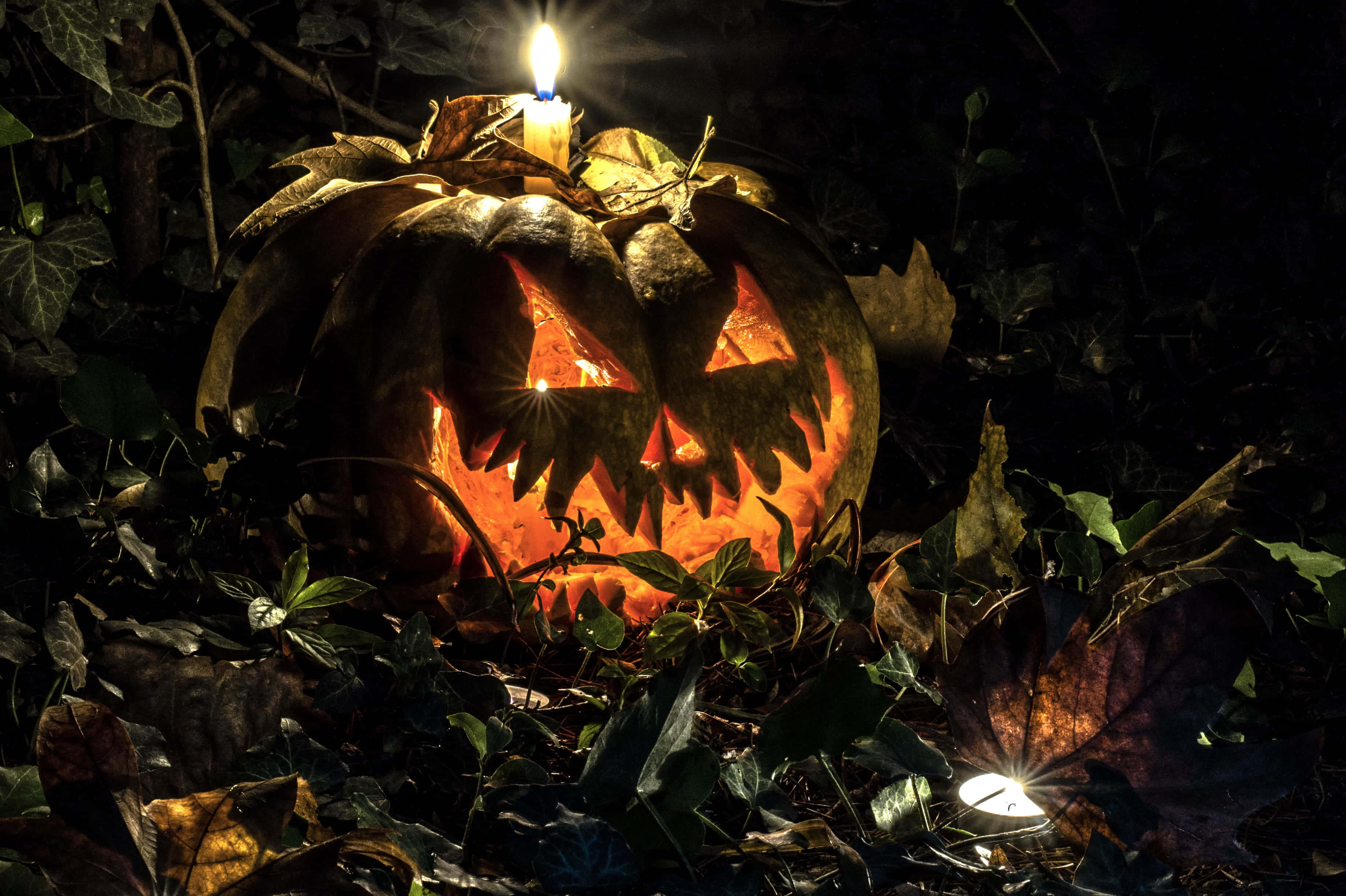 Halloween Candles, jack-o'-lantern, candle, 2K Desktop Wallpaper