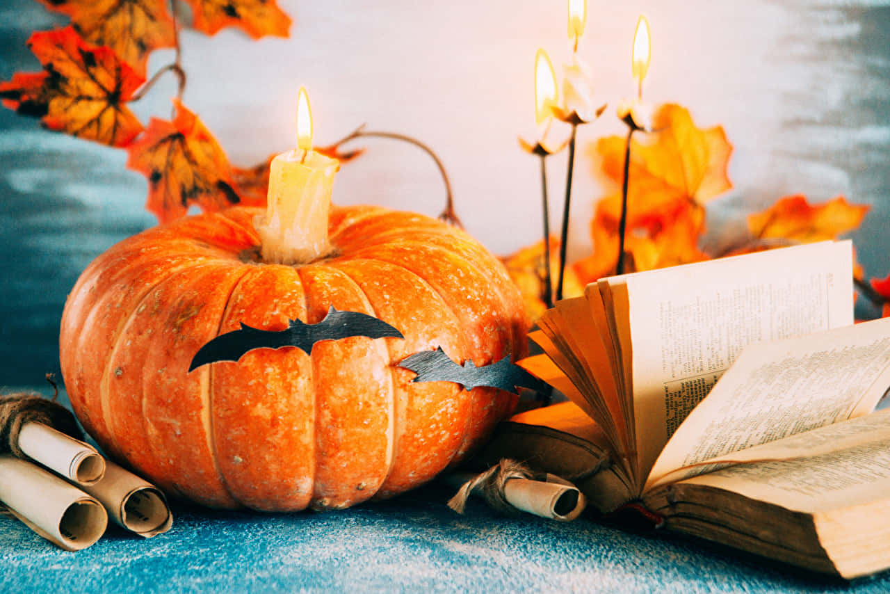 Halloween Candles, pumpkin, bat cutouts, HD Desktop Wallpaper