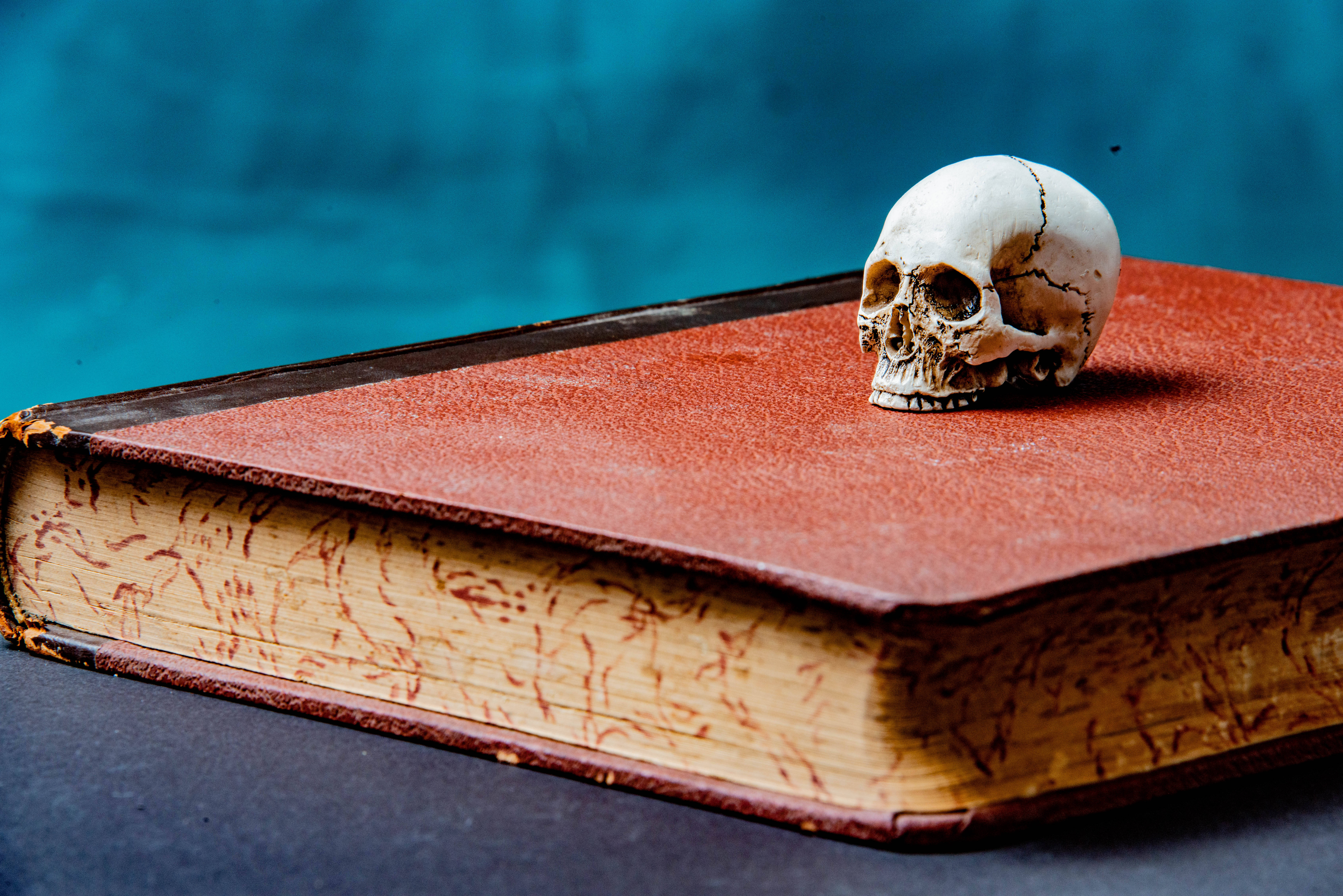 skull, book, red leather book, 5K Desktop Wallpaper