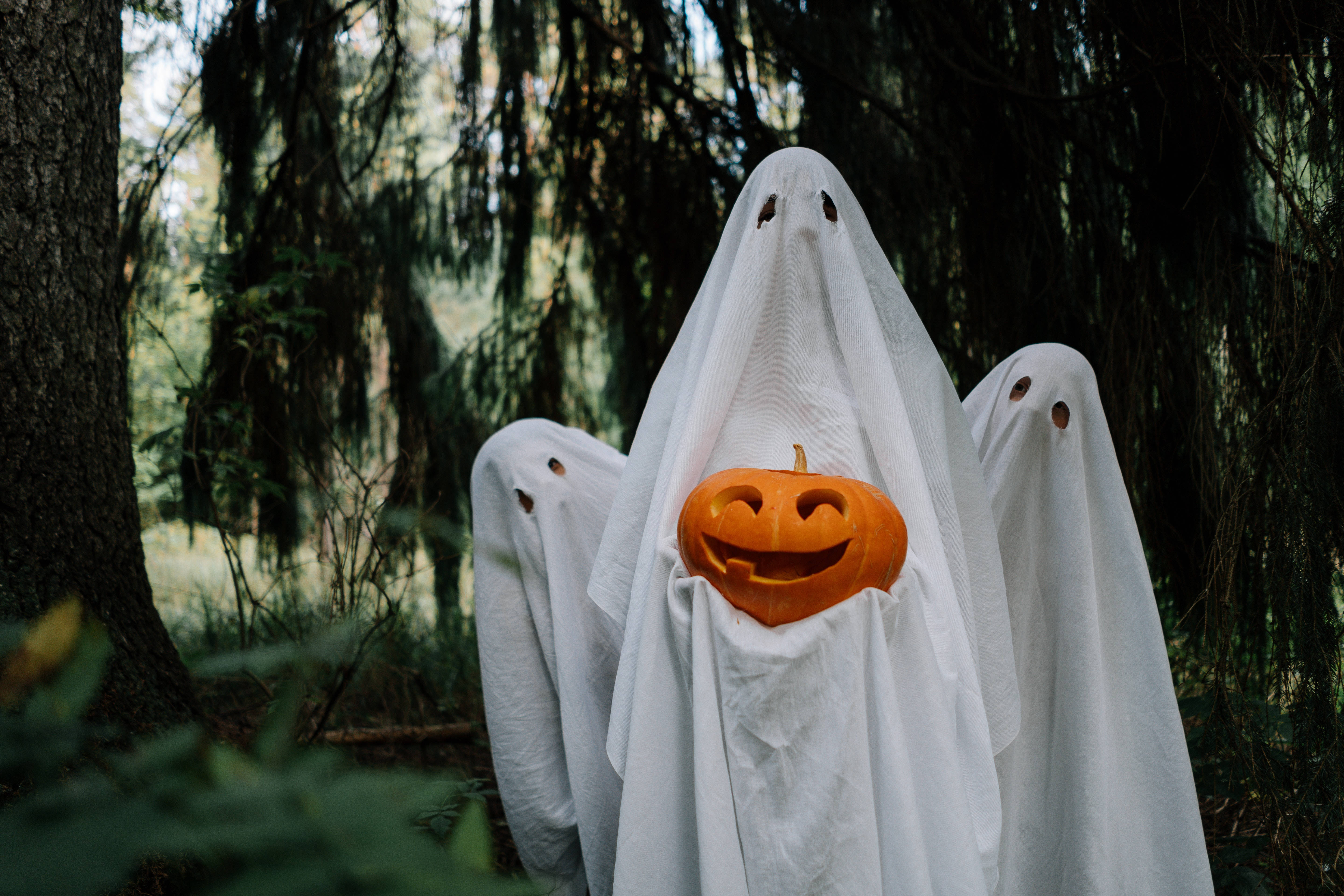 Halloween Ghosts Laptop Photo, white sheets, carved orange pumpkin, 5K Desktop Wallpaper