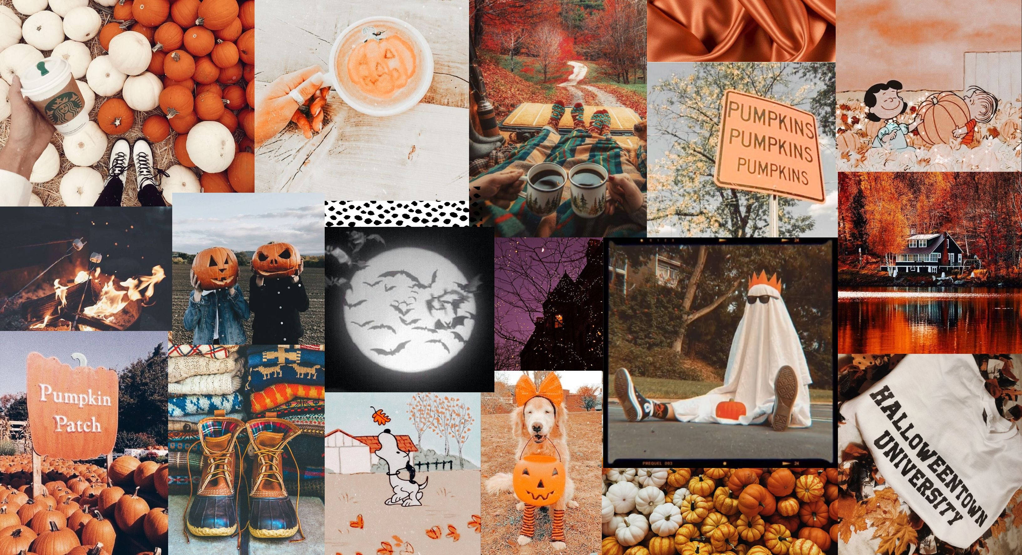 Halloween Aesthetic Pc, pumpkins, jack-o'-lanterns, 2K Desktop Wallpaper