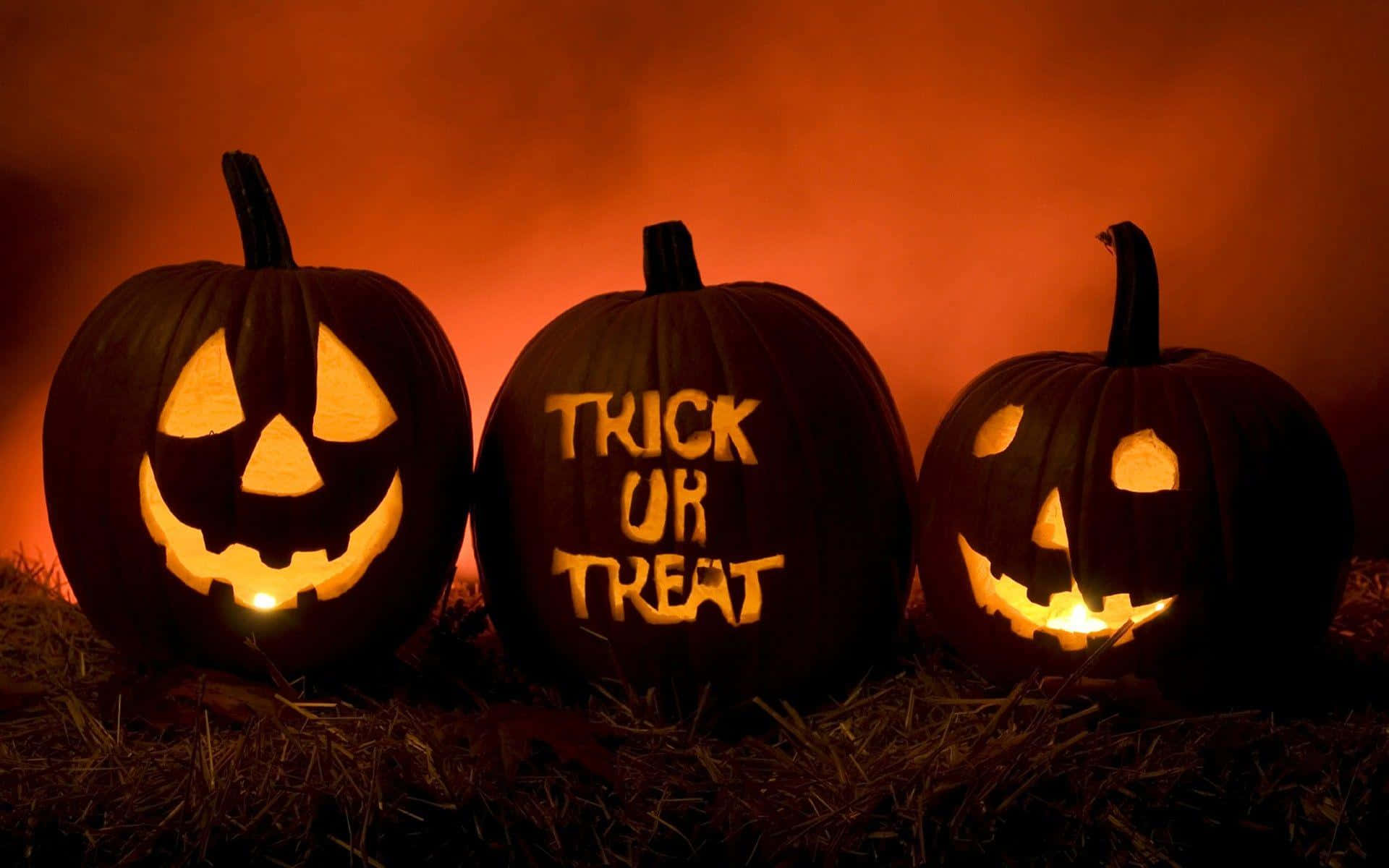 jack-o'-lanterns, carved faces, trick or treat, Full HD Desktop Wallpaper