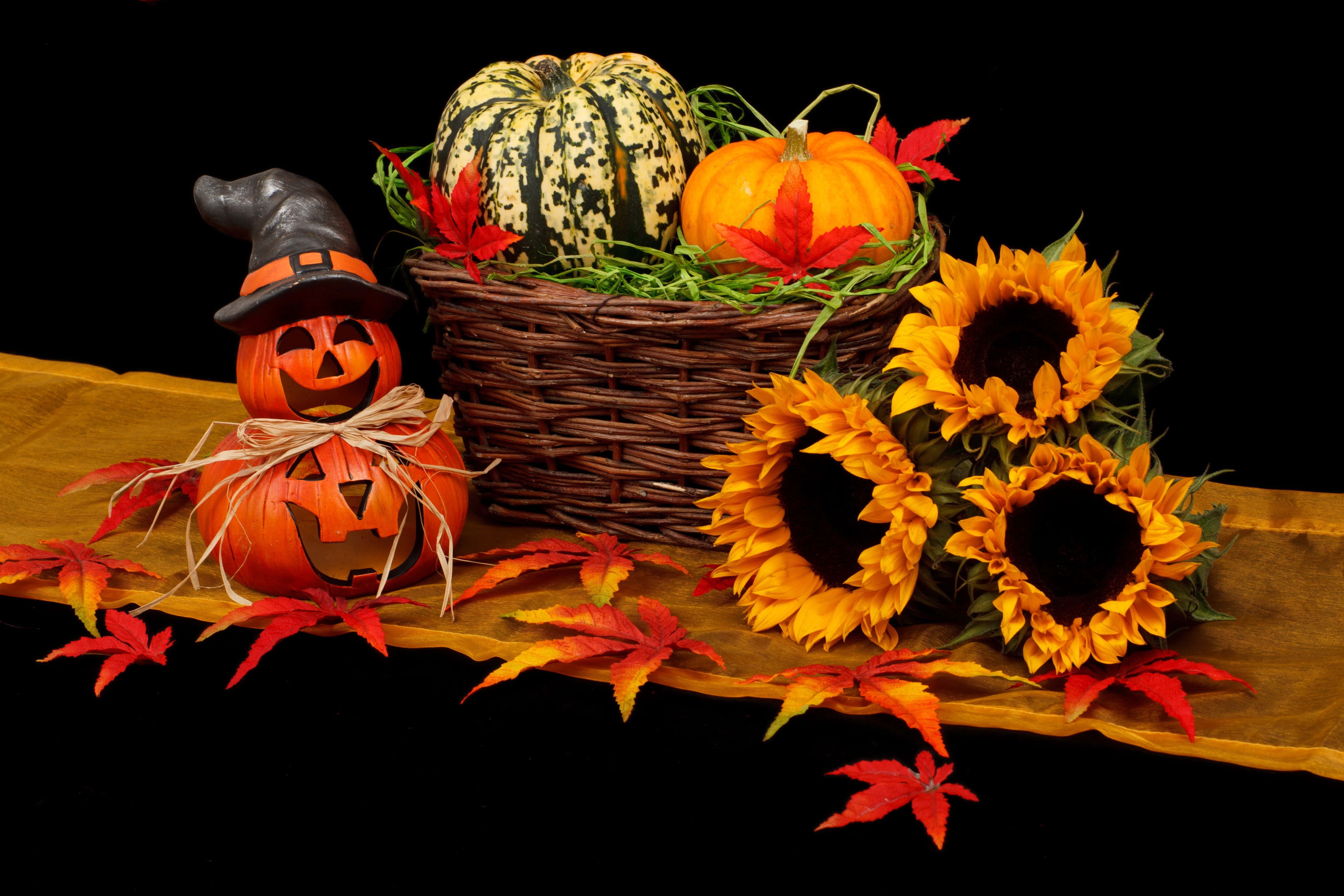 Halloween Crafts, pumpkins, sunflowers, 5K Desktop Wallpaper