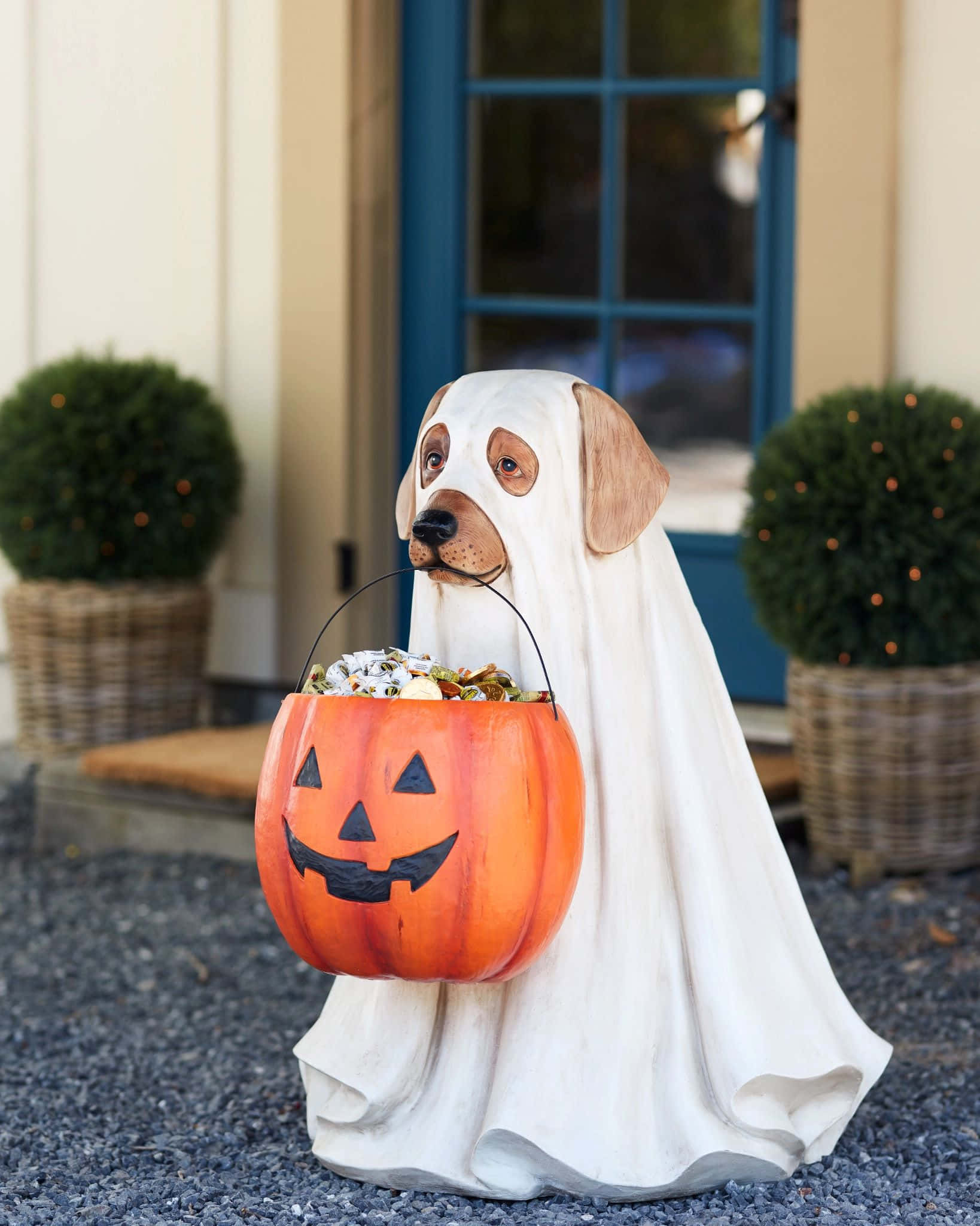 Halloween Dog, ghost costume, white ghost costume, Full HD Phone Wallpaper