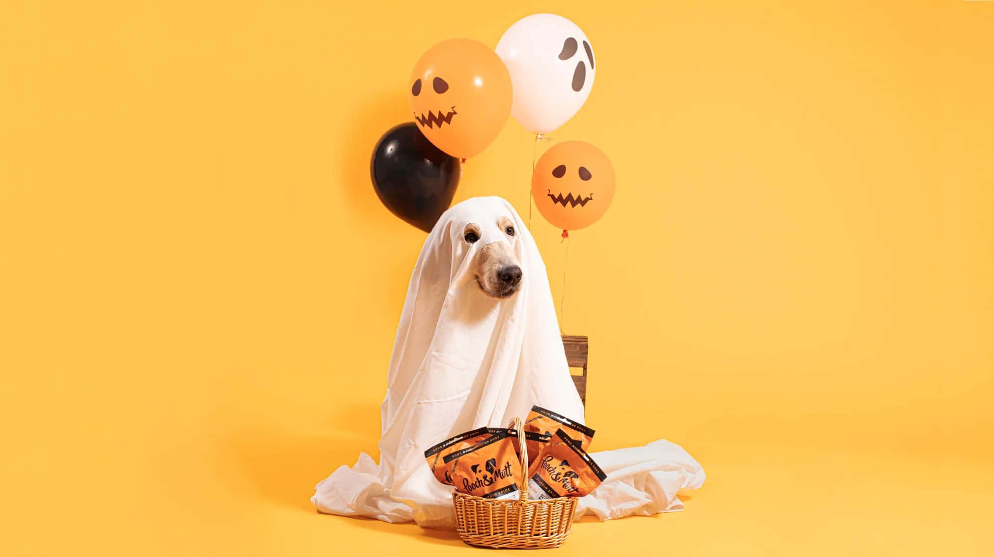 golden retriever, ghost, Reese's Peanut Butter Cups, Full HD Desktop Wallpaper