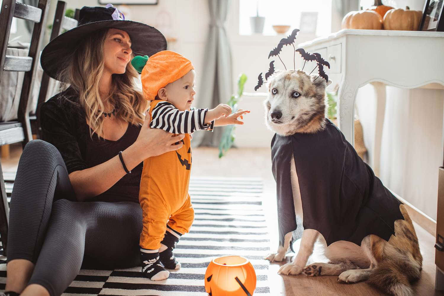 witch hat, orange pumpkin onesie, bat-wing cape, HD Desktop Wallpaper