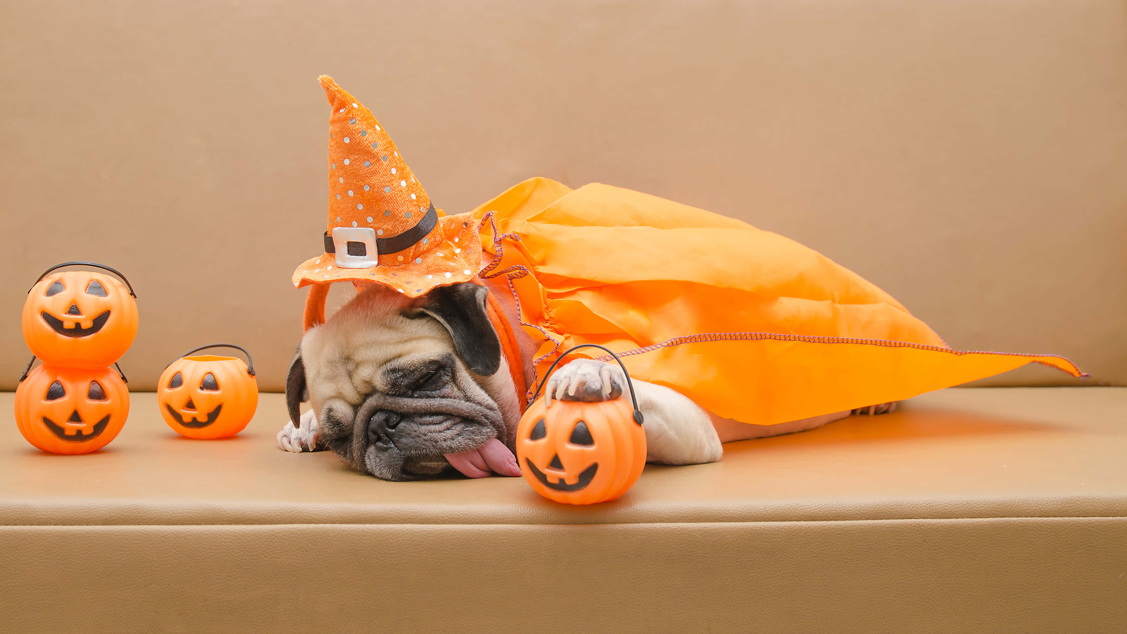 pug, orange witch costume, jack-o'-lantern buckets, 4K Desktop Wallpaper