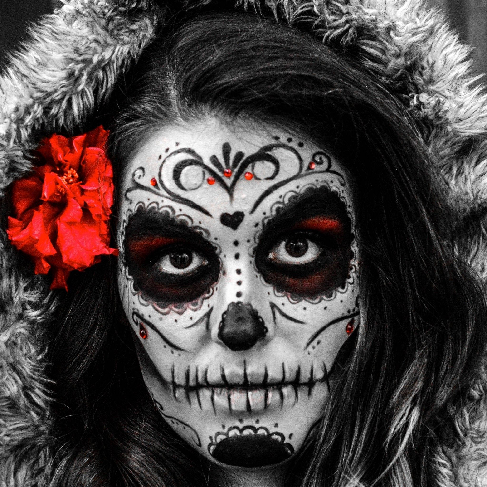 greyscale sugar skull, furry hood, vibrant red flower, Full HD Desktop Wallpaper