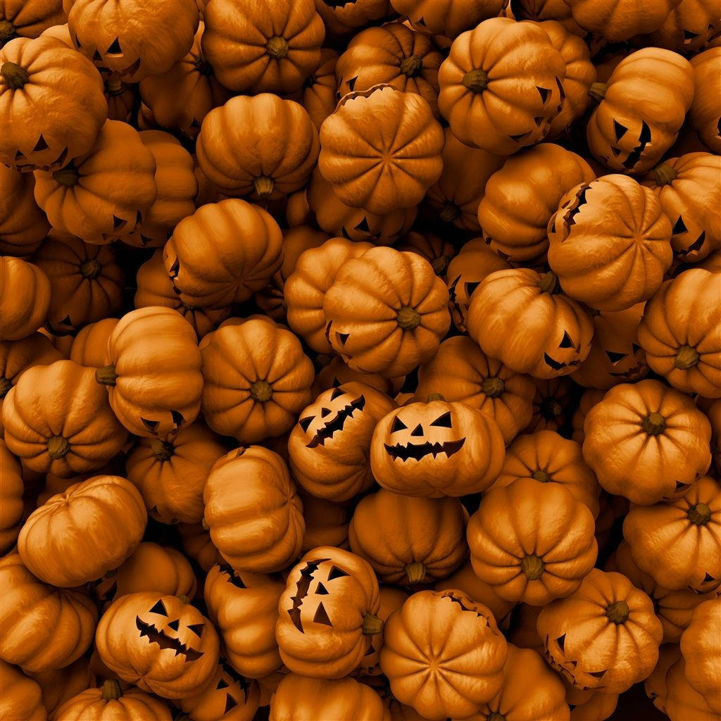 Halloween, iPad, orange pumpkins, SD Desktop Wallpaper