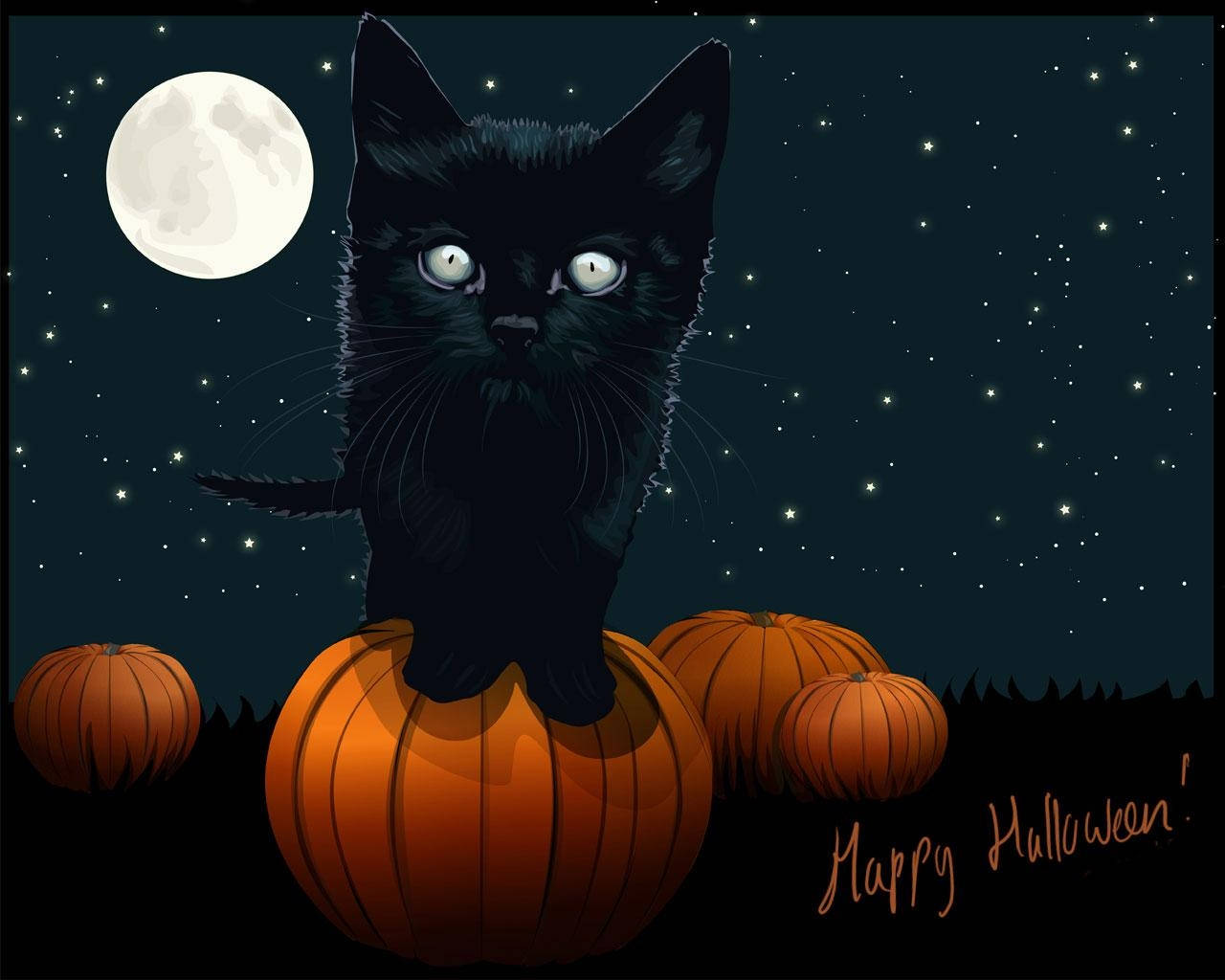 Halloween iPad, black cat, glowing eyes, HD Desktop Wallpaper