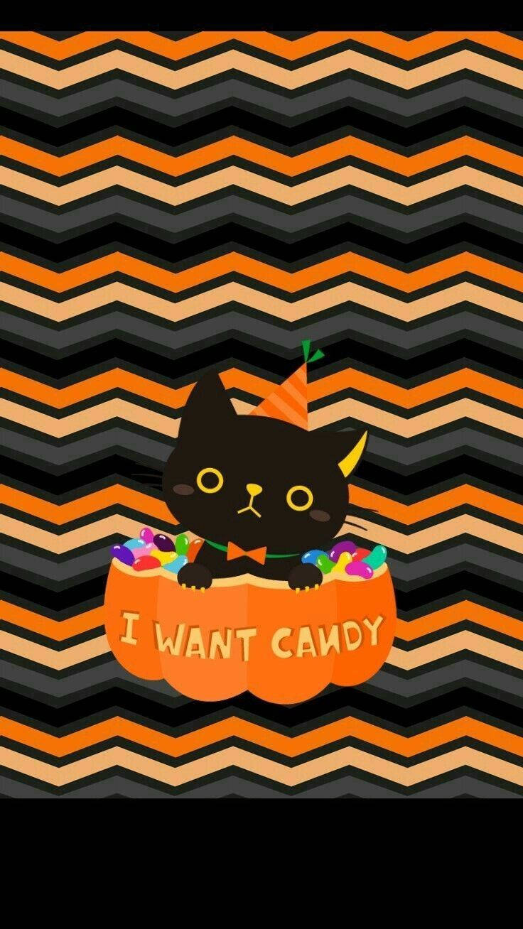 Halloween iPad, black cat, party hat, HD Phone Wallpaper