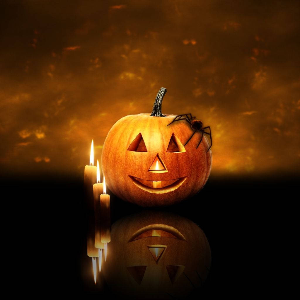 Halloween iPad, jack-o'-lantern, spider, SD Desktop Wallpaper